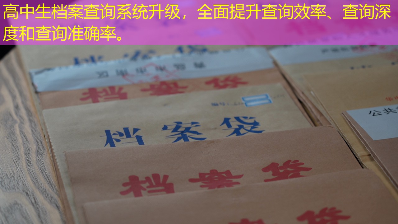 档案查询