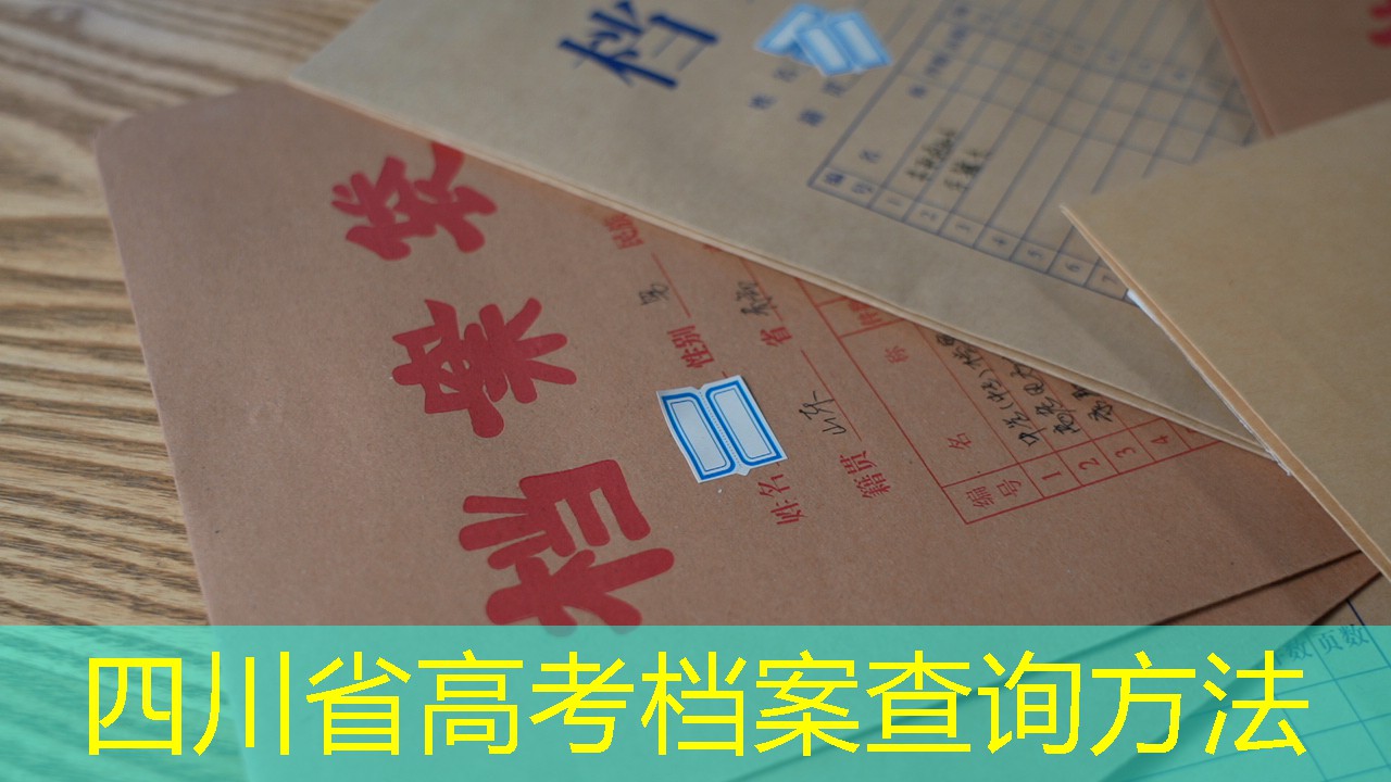 档案查询