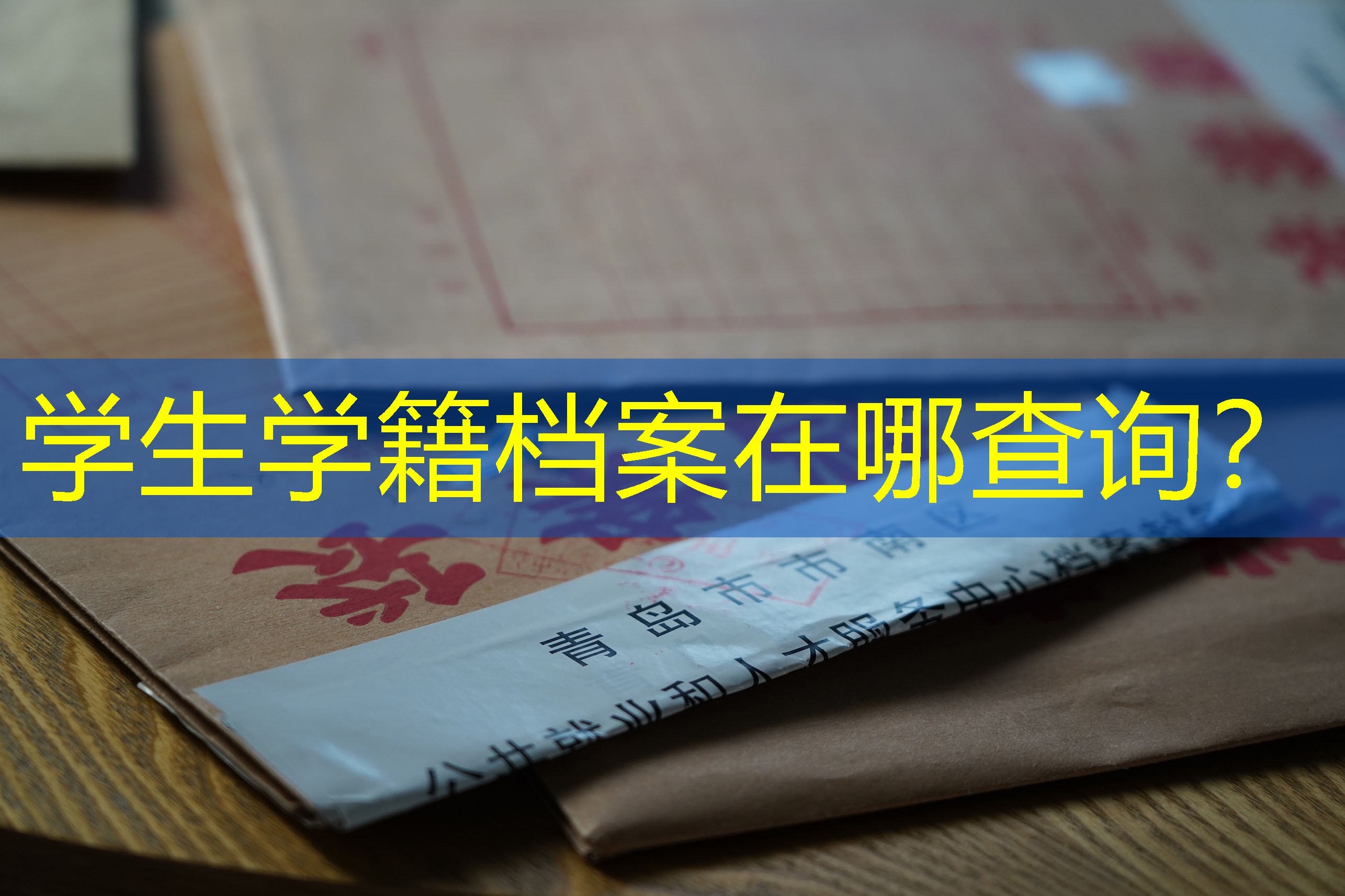 档案查询