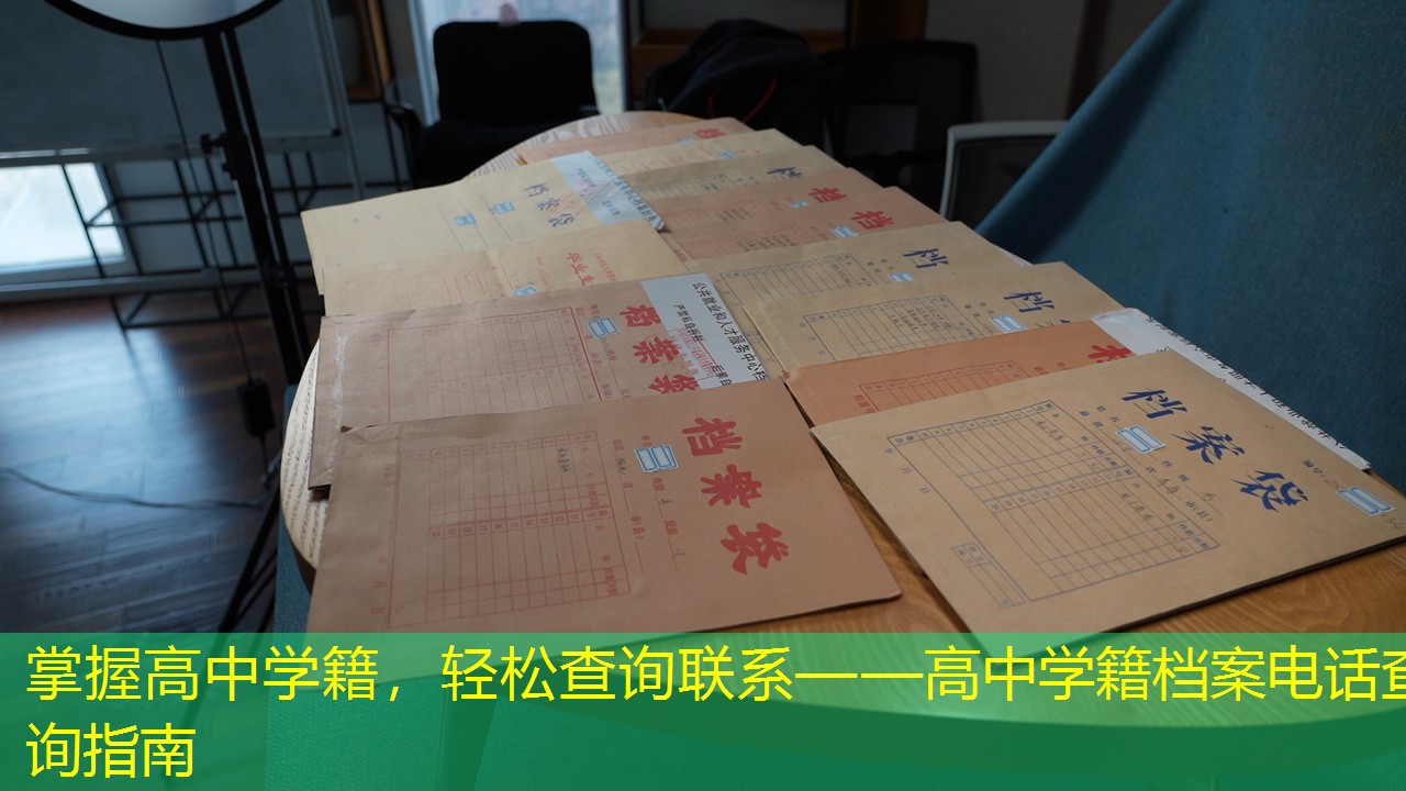 档案查询