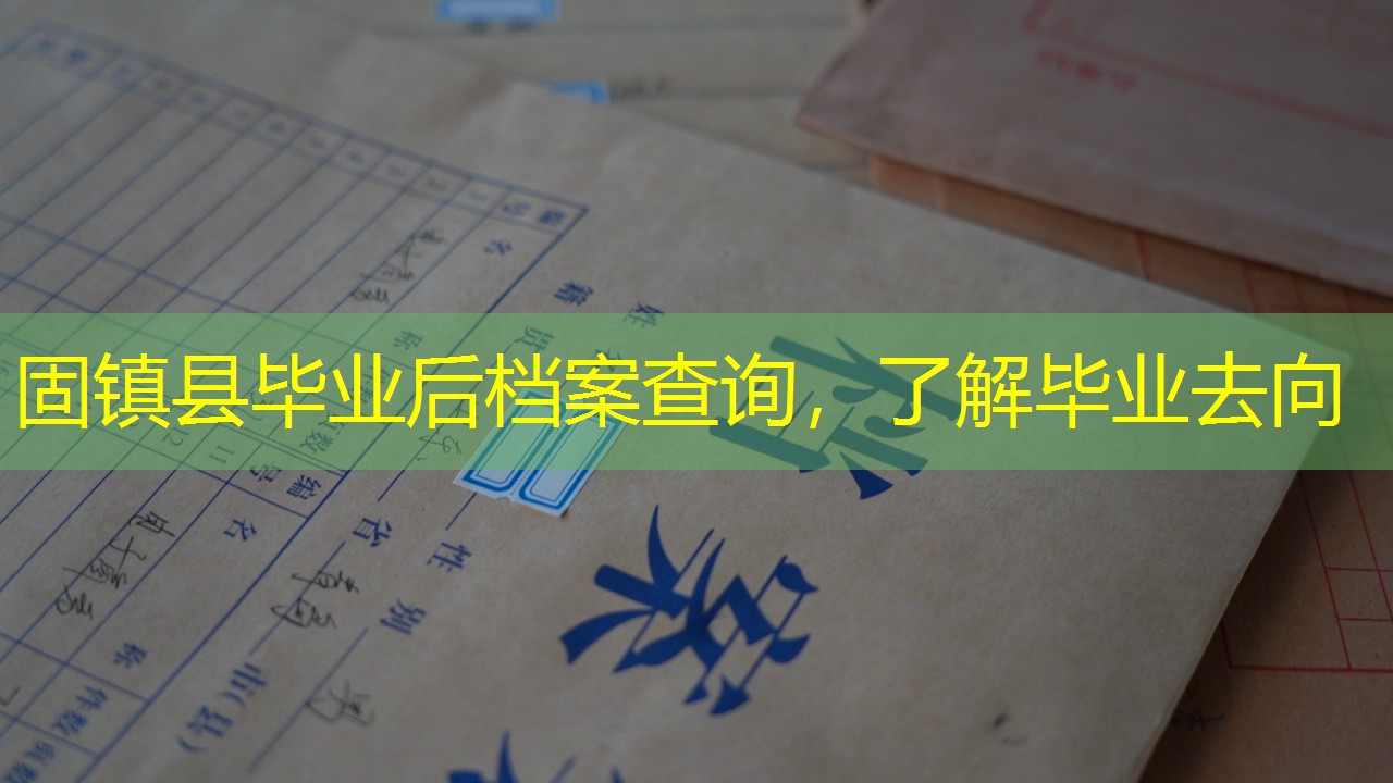 档案查询