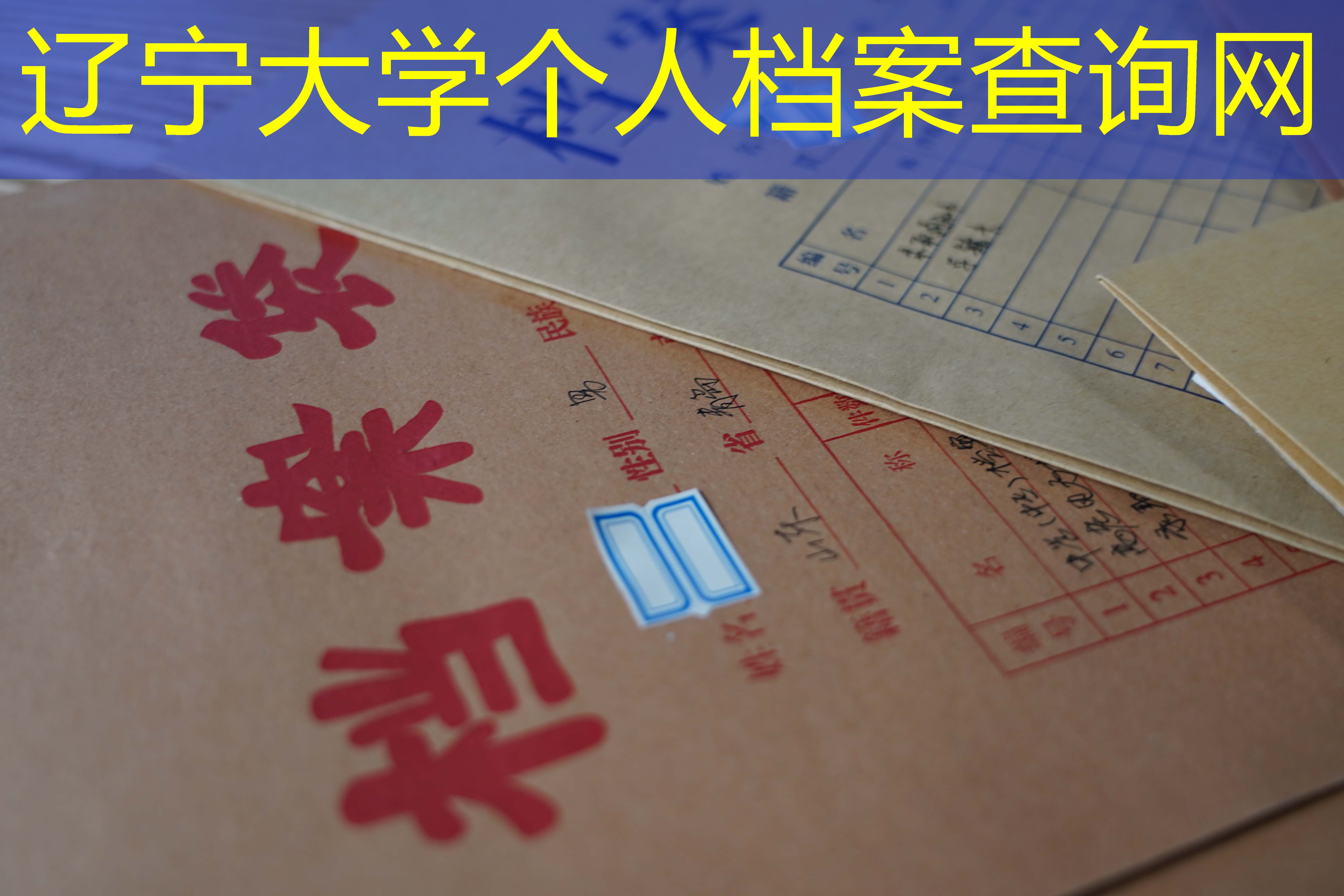 档案查询