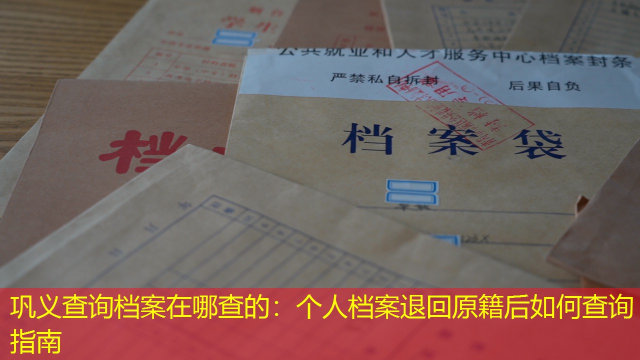 档案查询