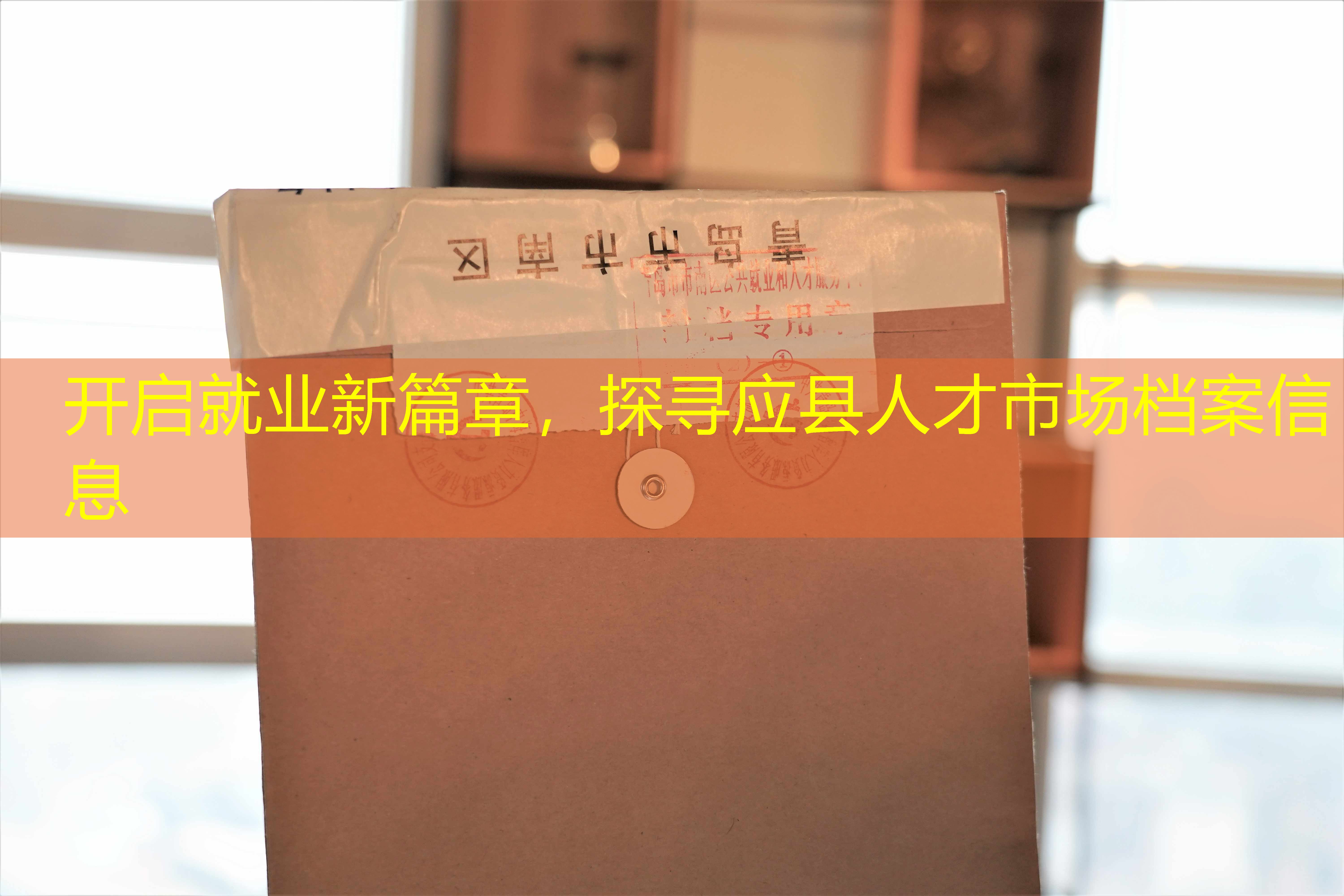 档案查询