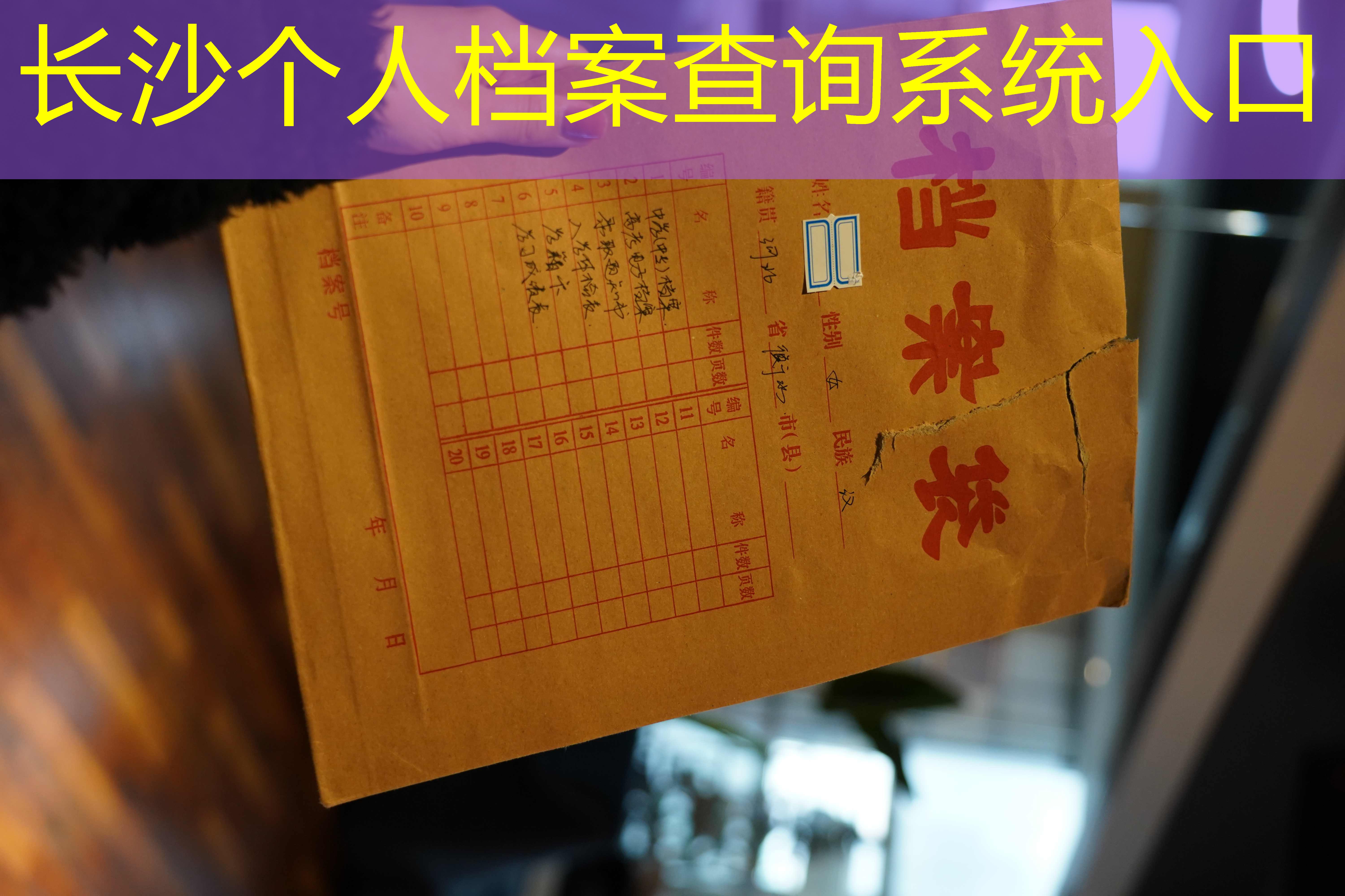 档案查询