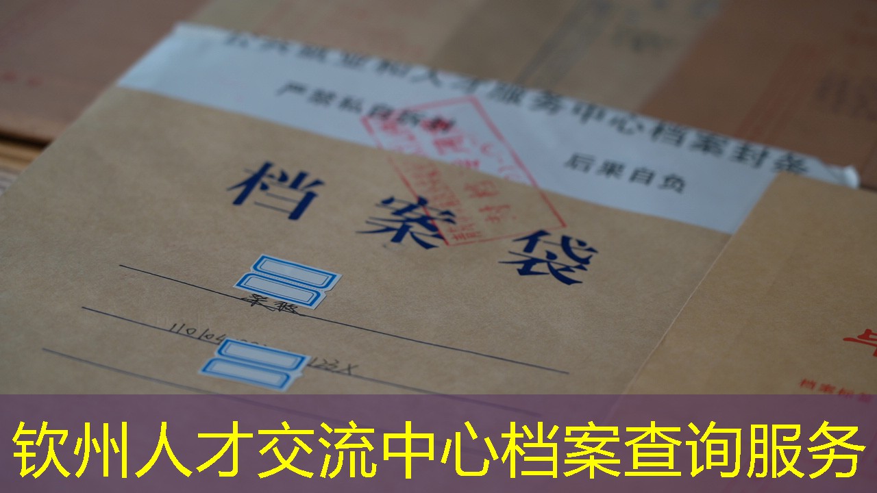 档案查询