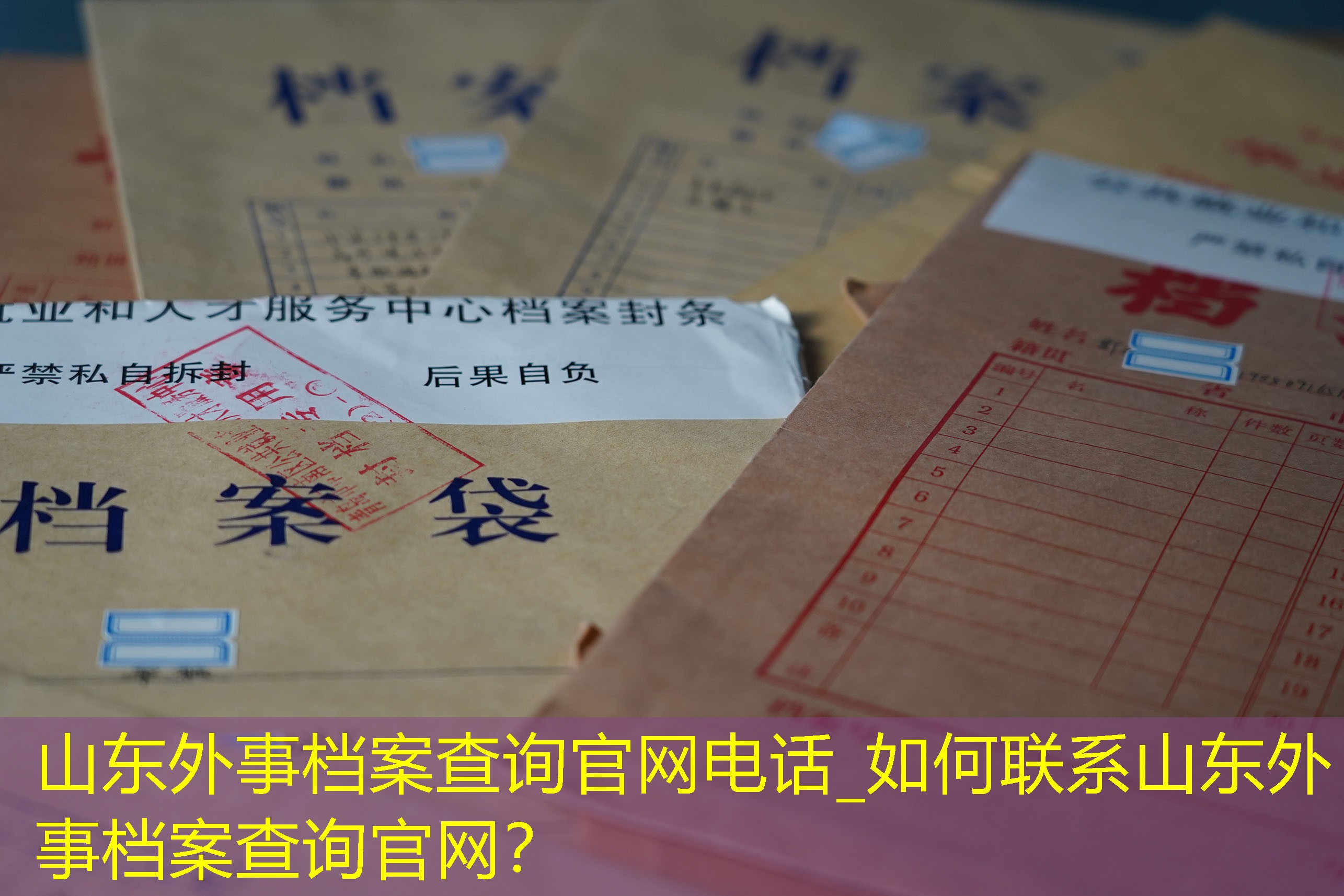档案查询