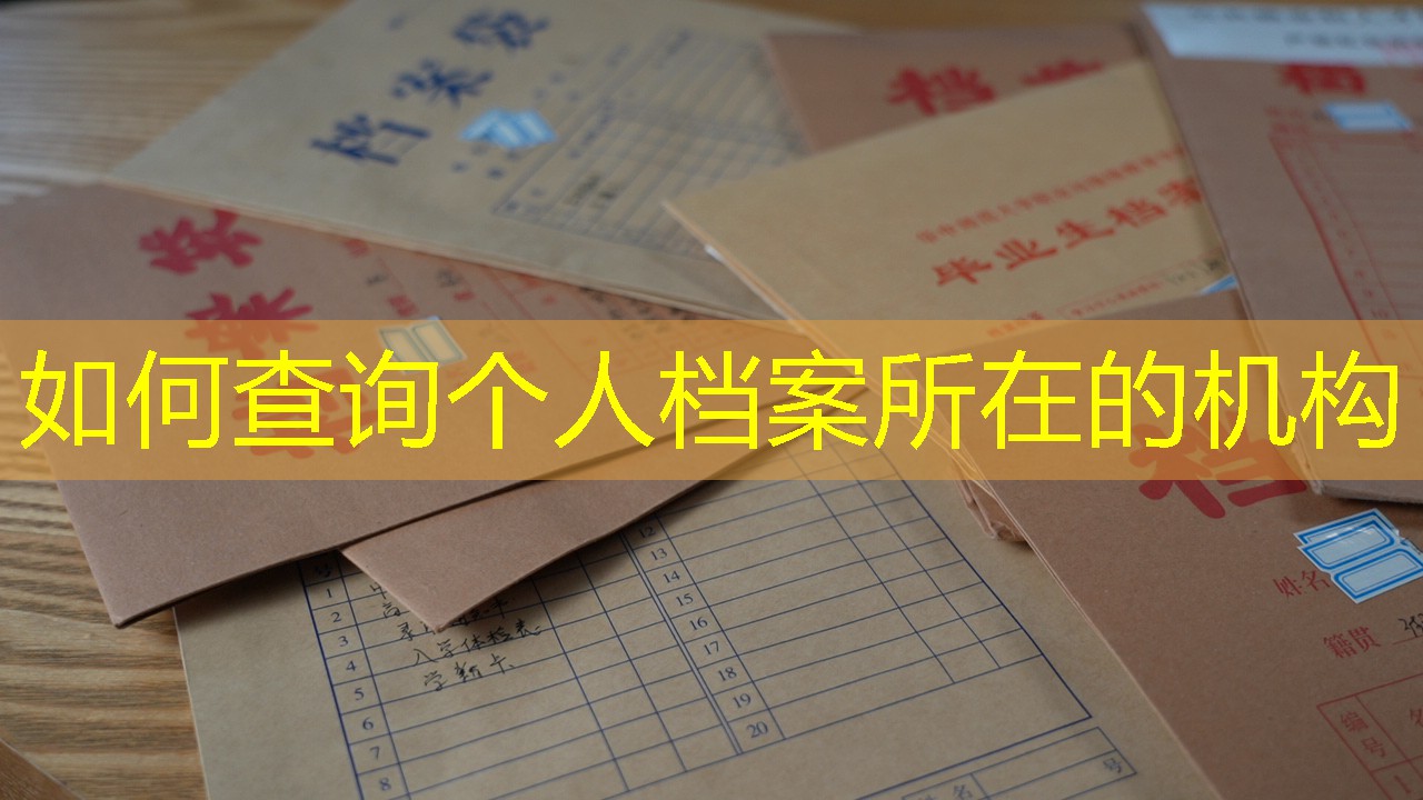 档案查询