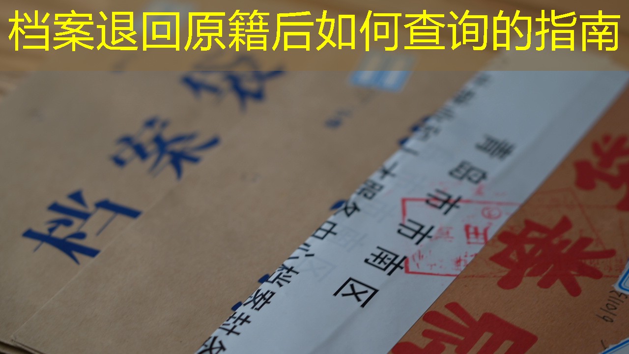 档案查询