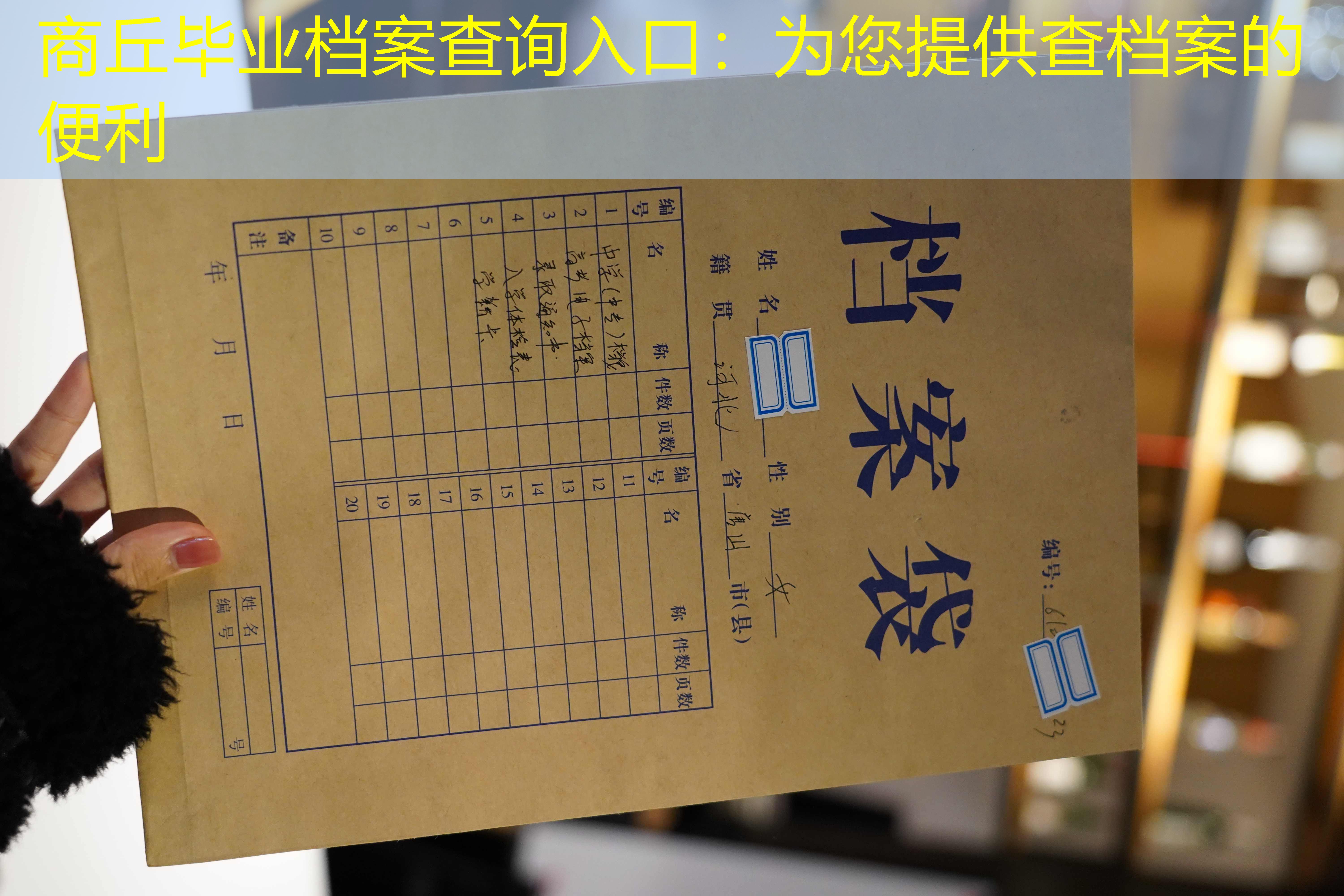 档案查询