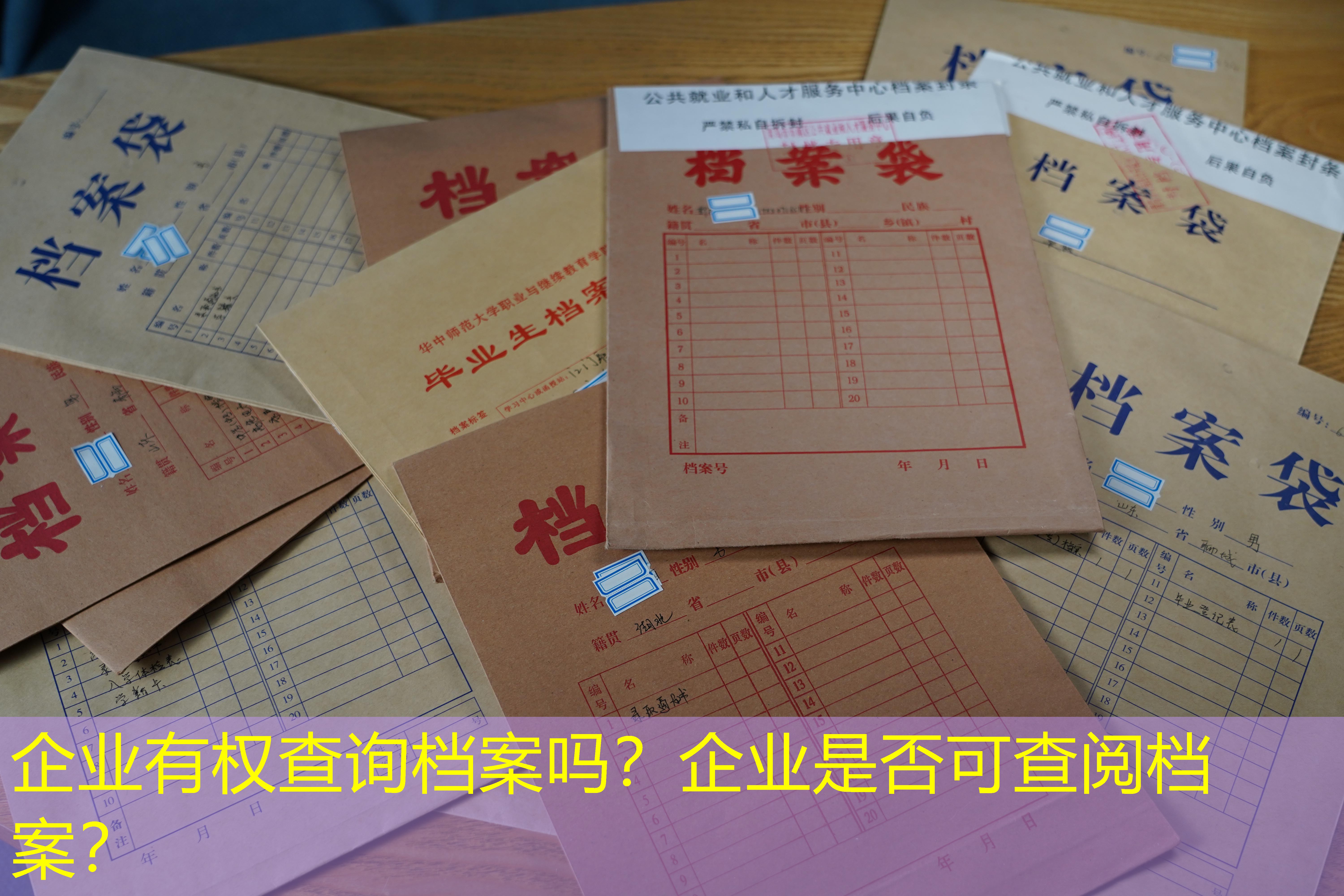 档案查询
