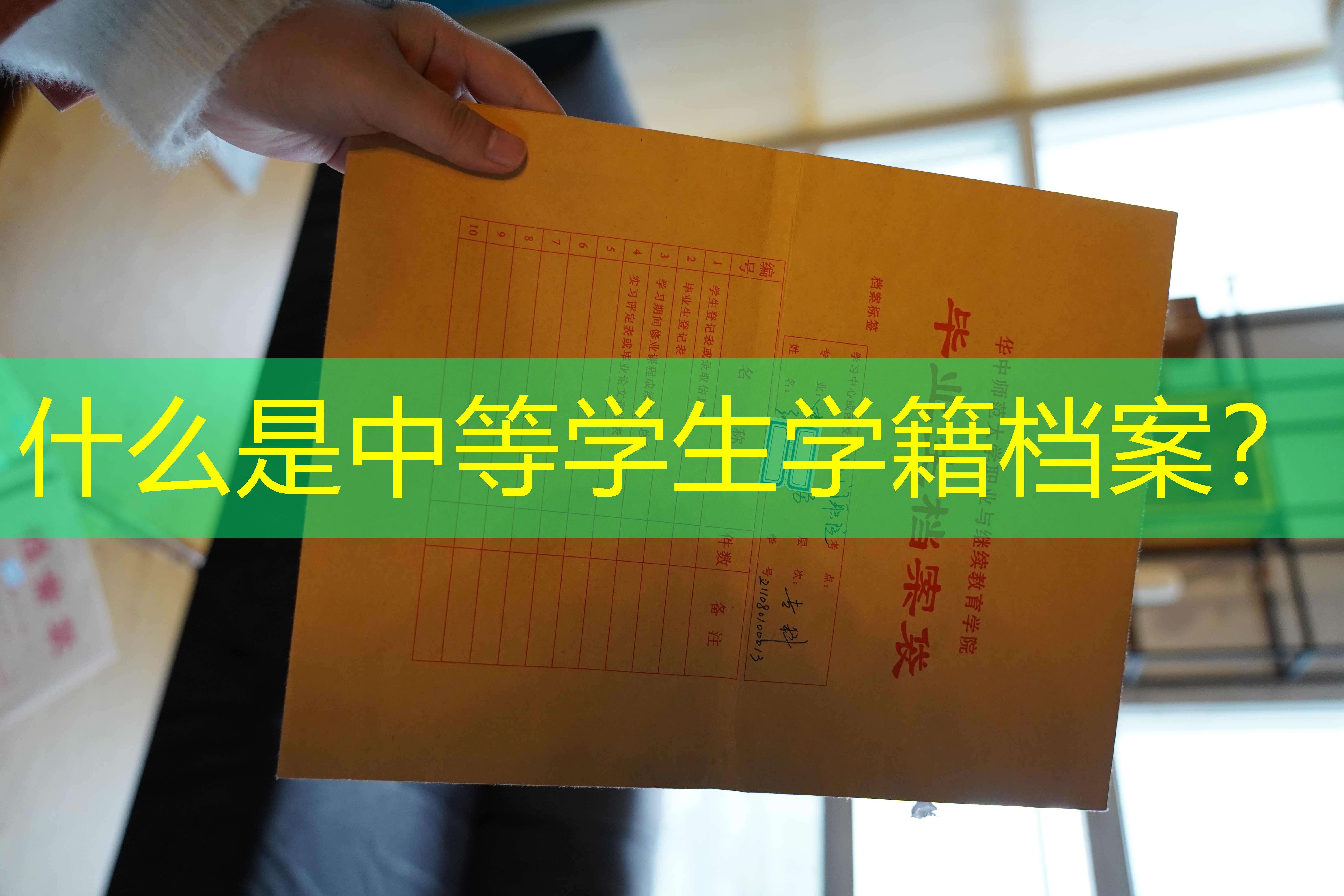 档案查询