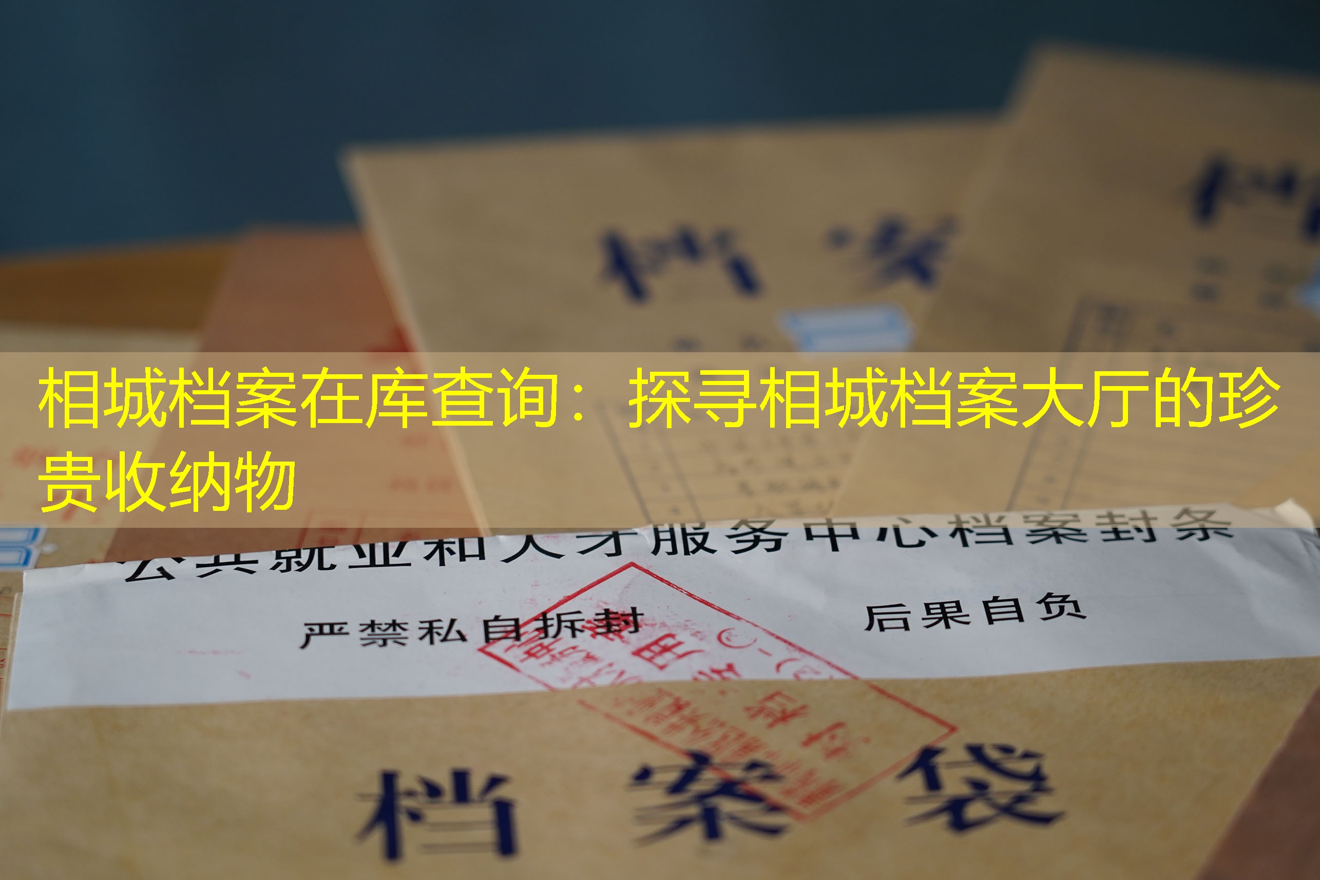 档案查询