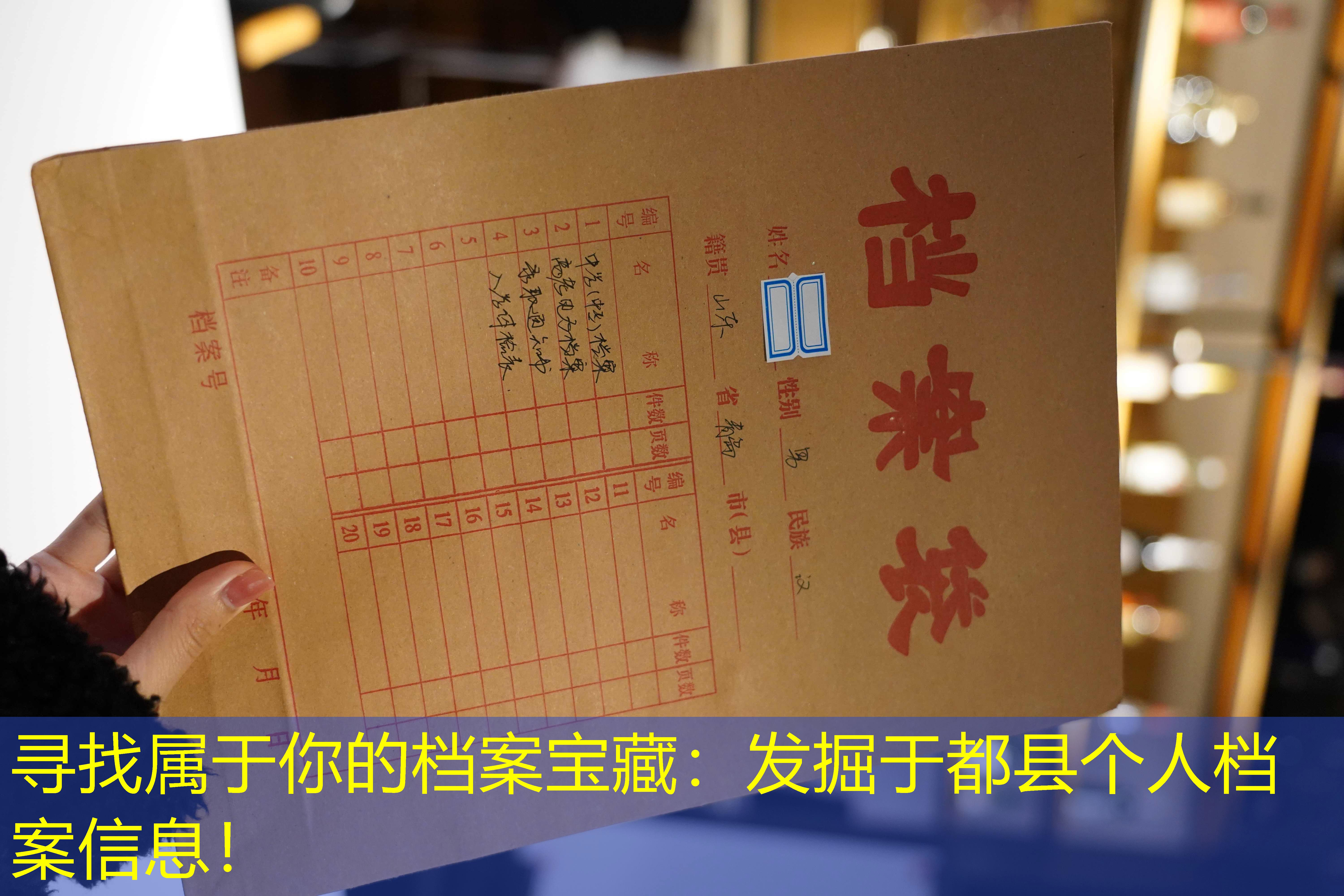 档案查询