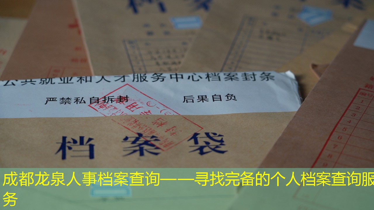 档案查询