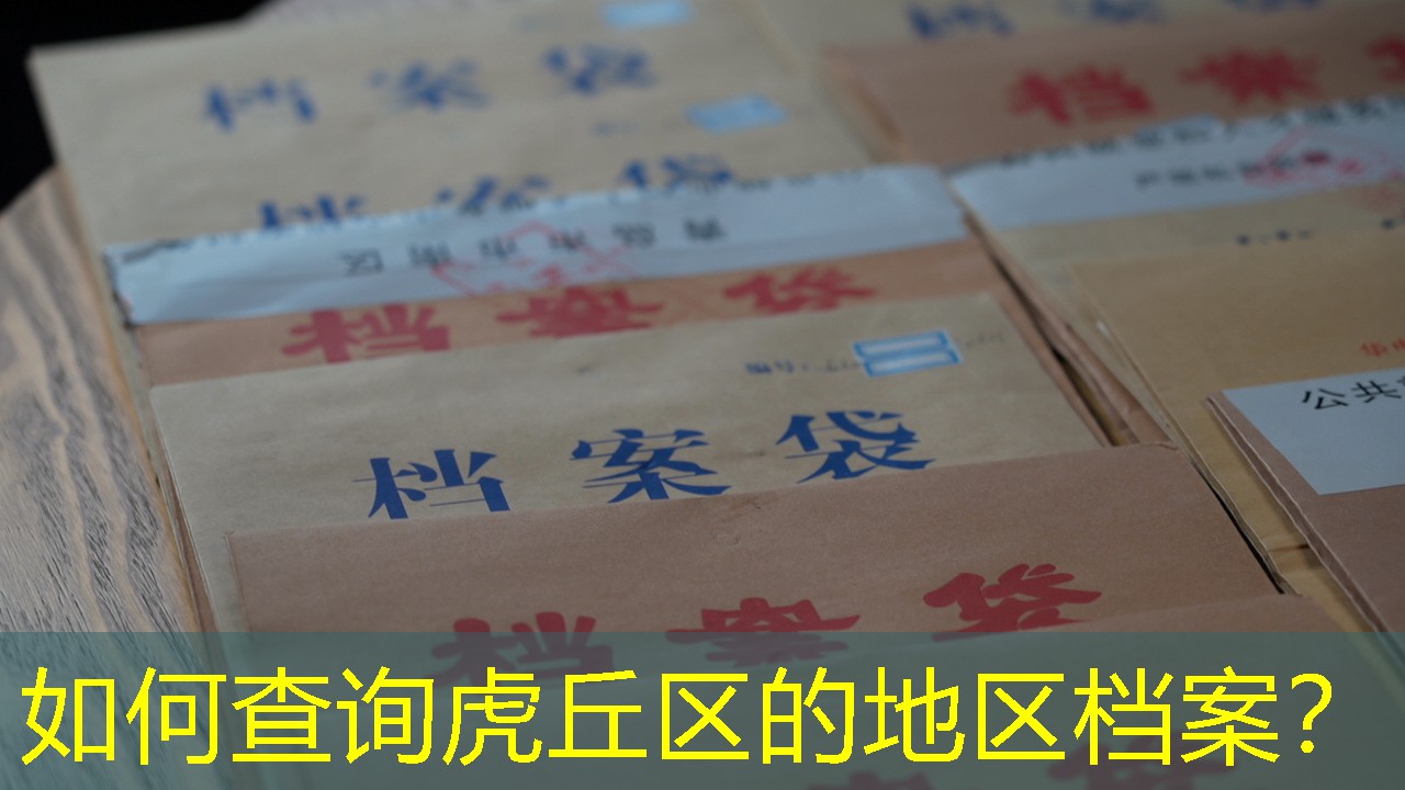 档案查询