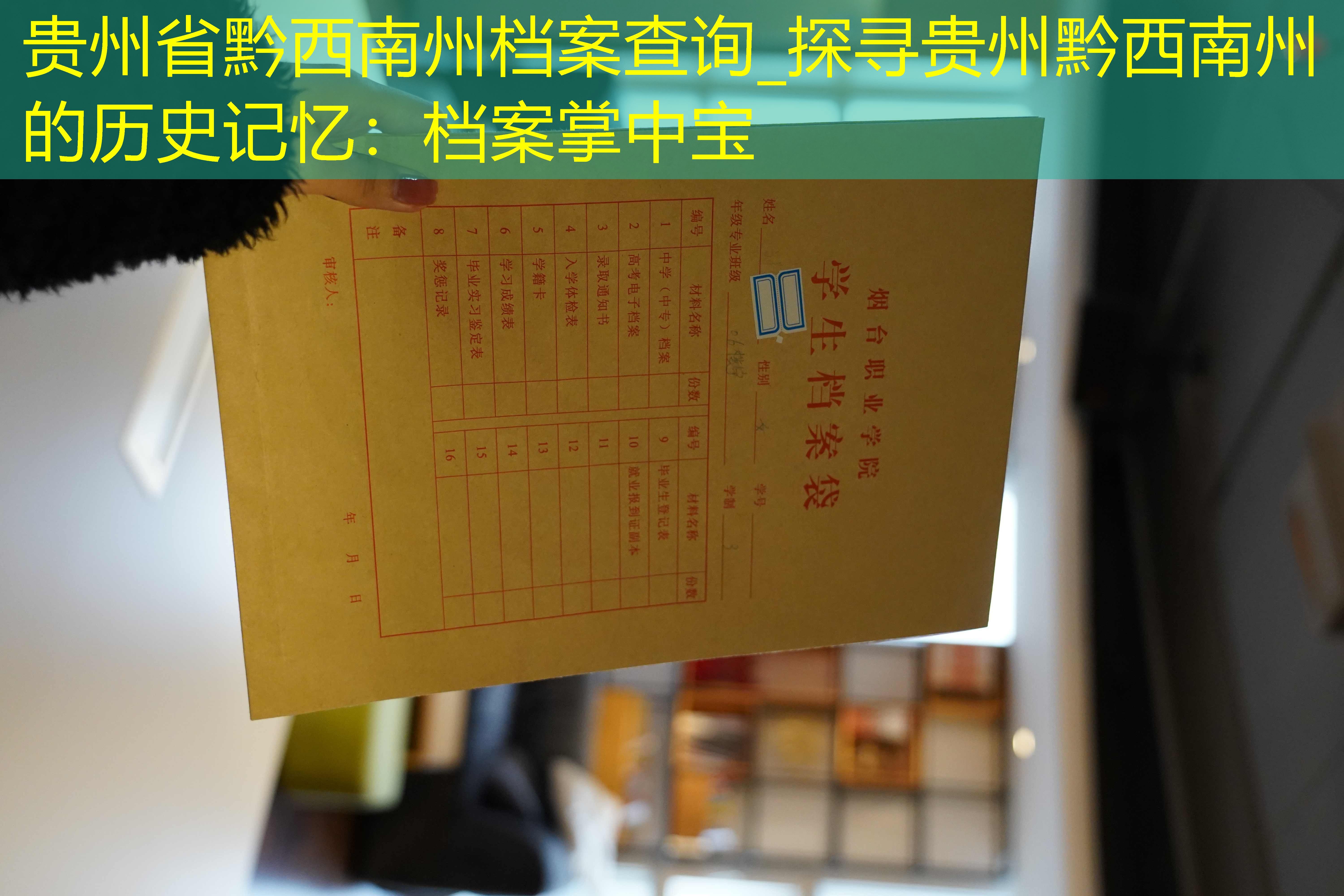 档案查询