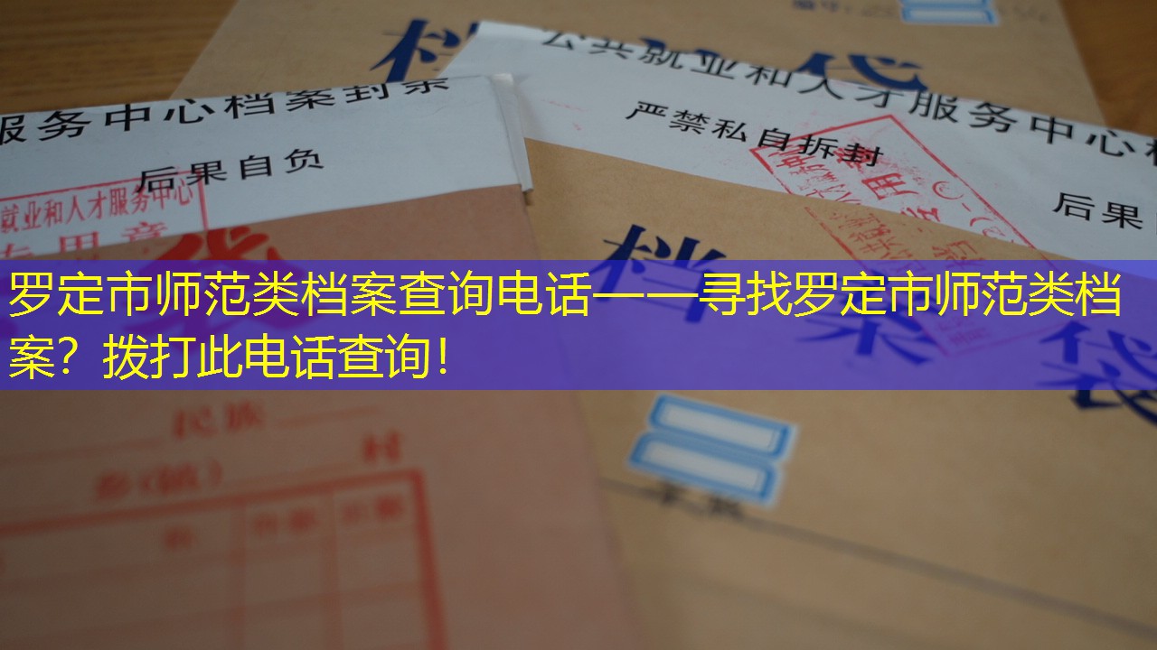 档案查询