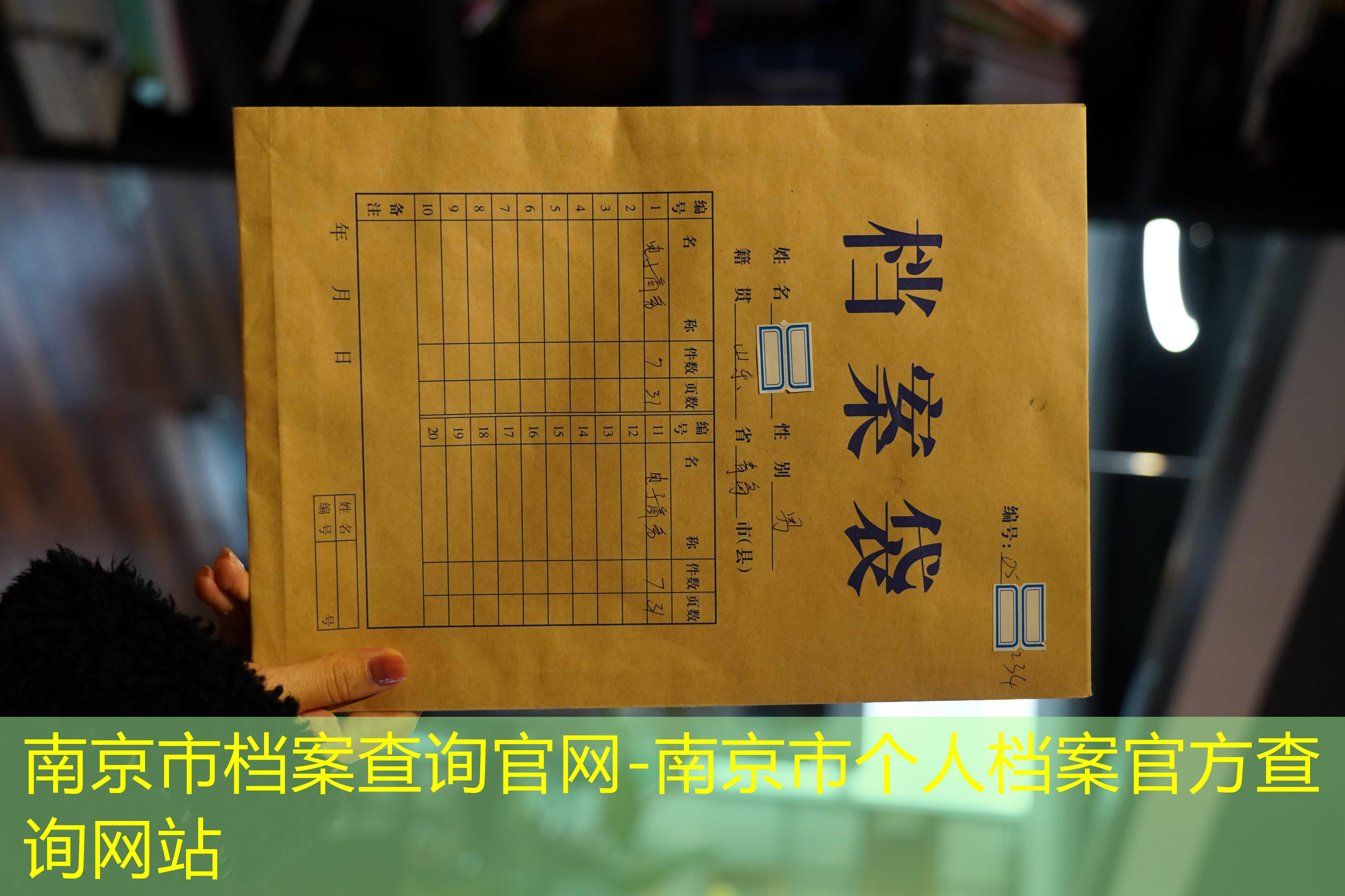档案查询