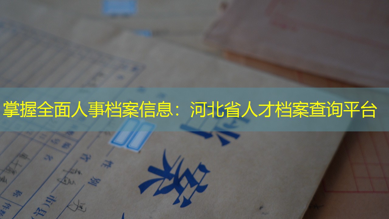 档案查询