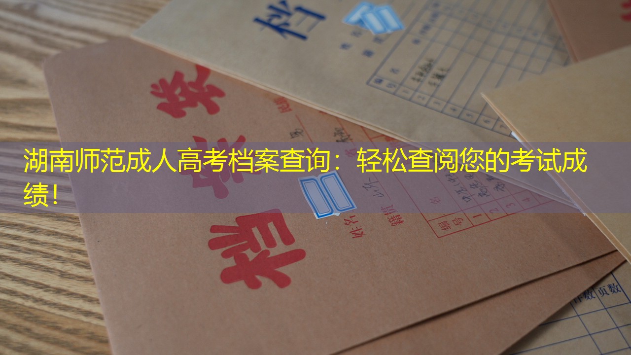 档案查询