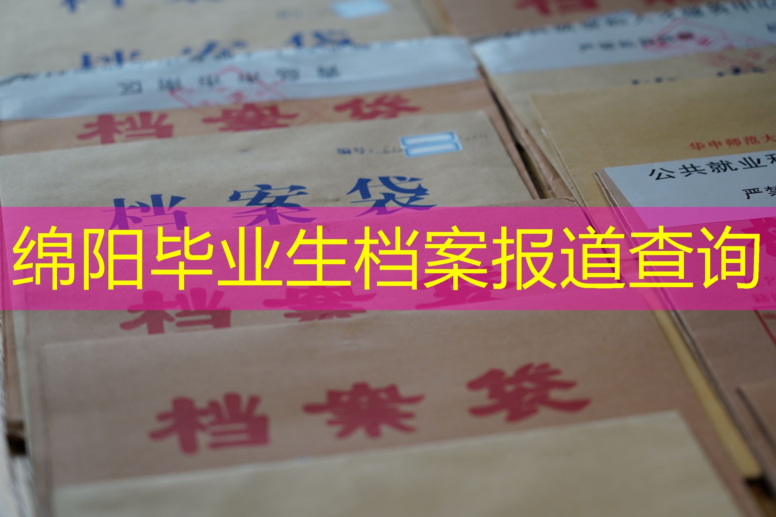 档案查询