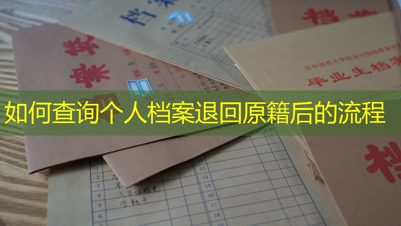 档案查询