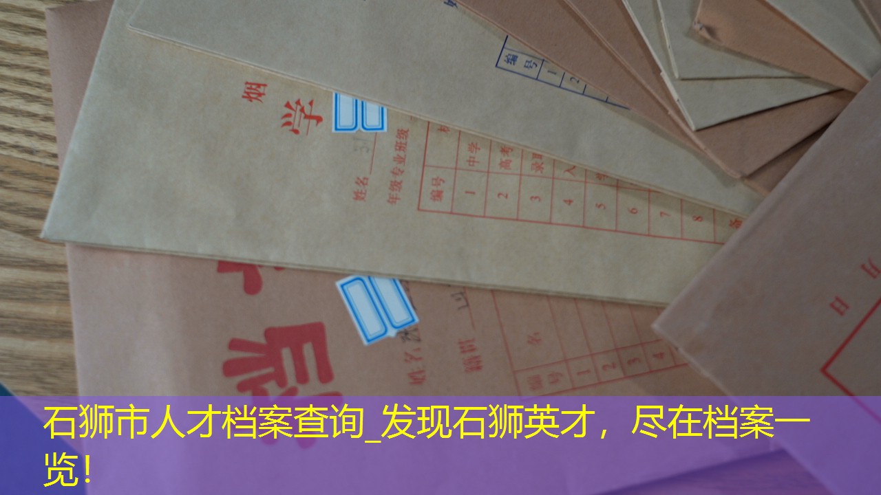 档案查询