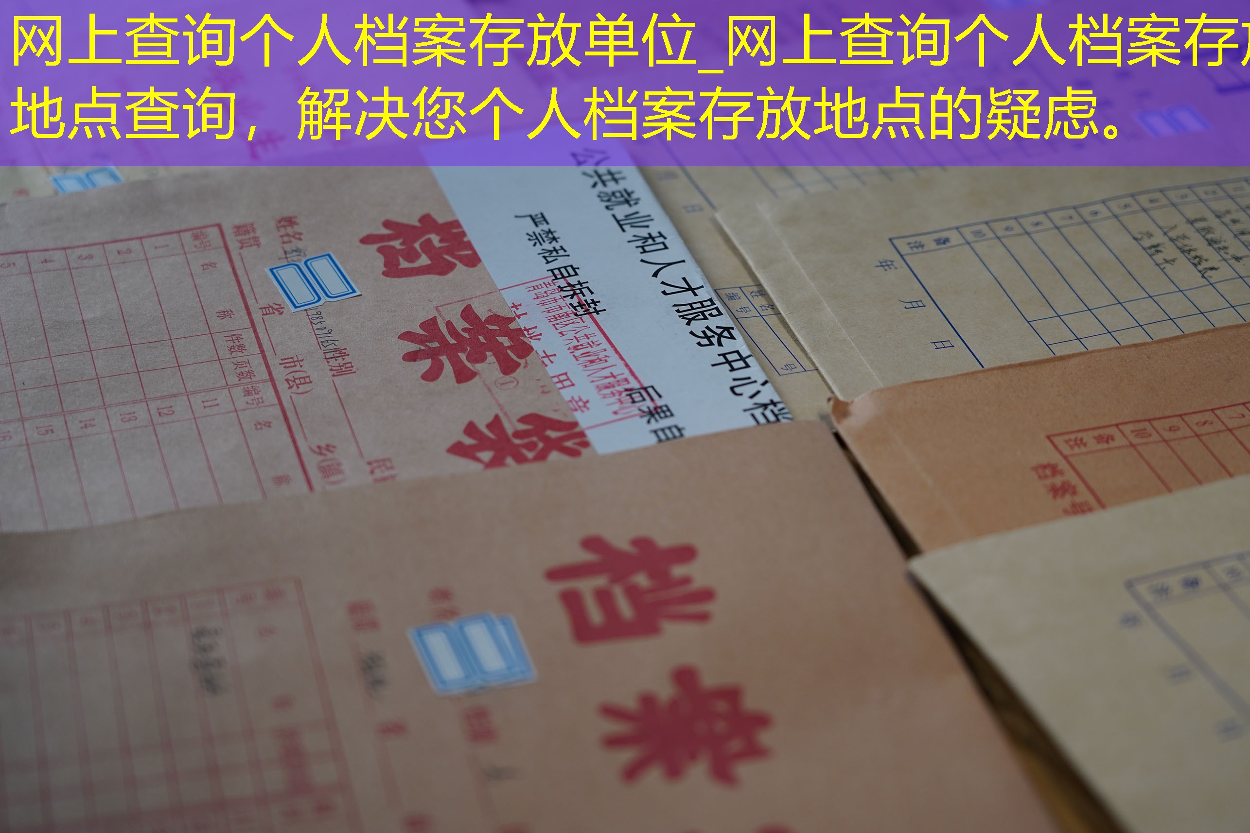 档案查询