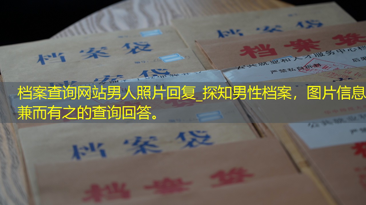 档案查询