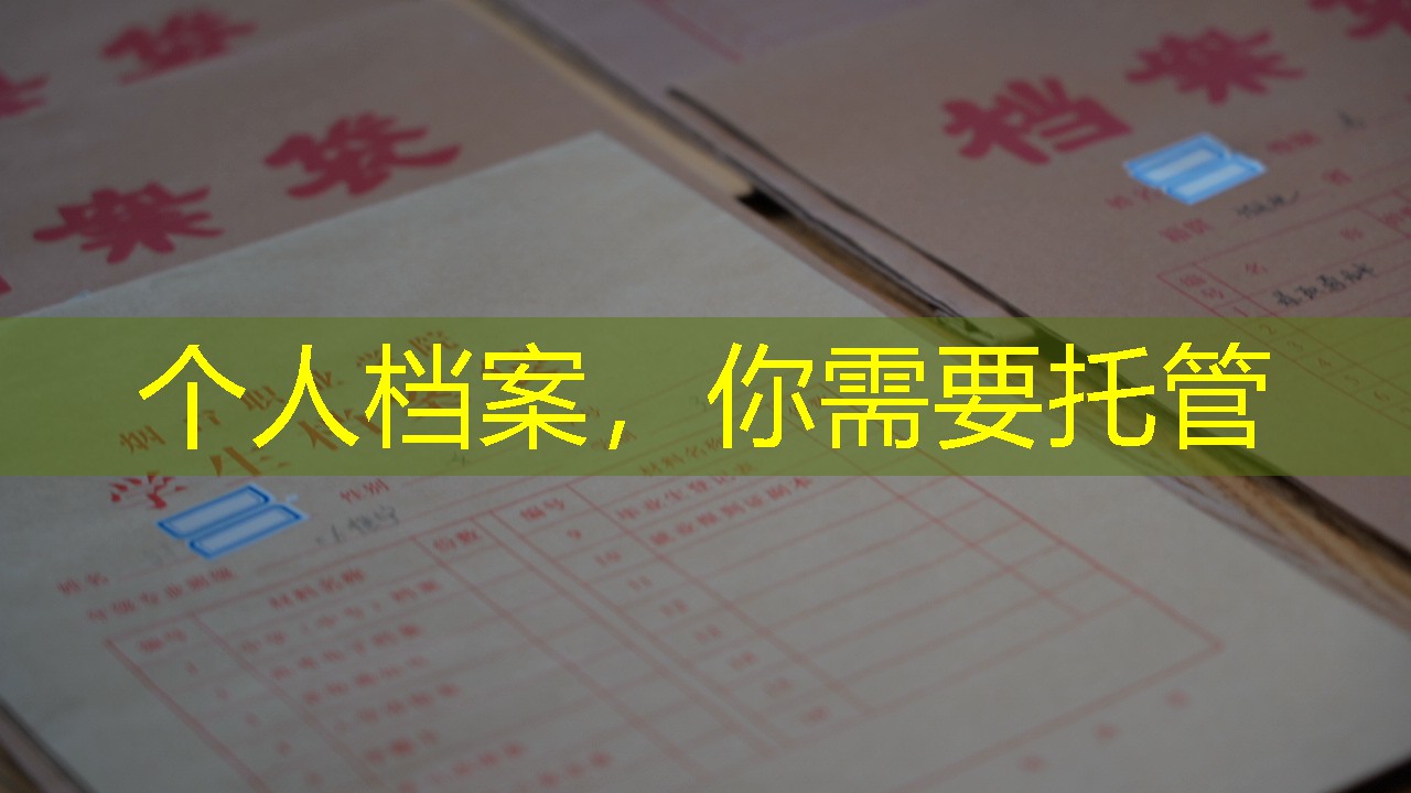 档案查询