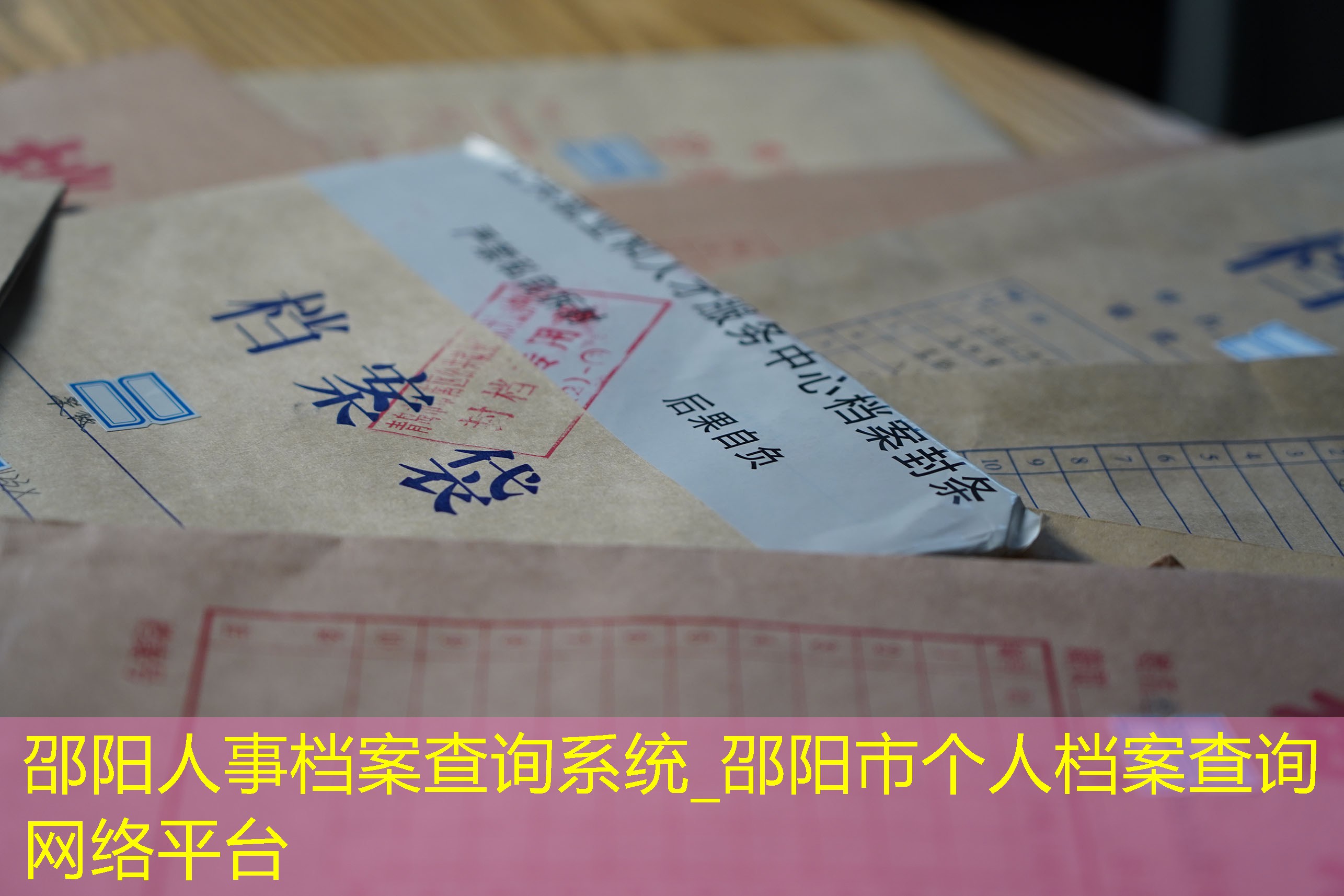 档案查询