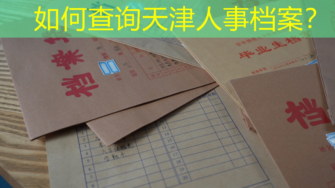 档案查询