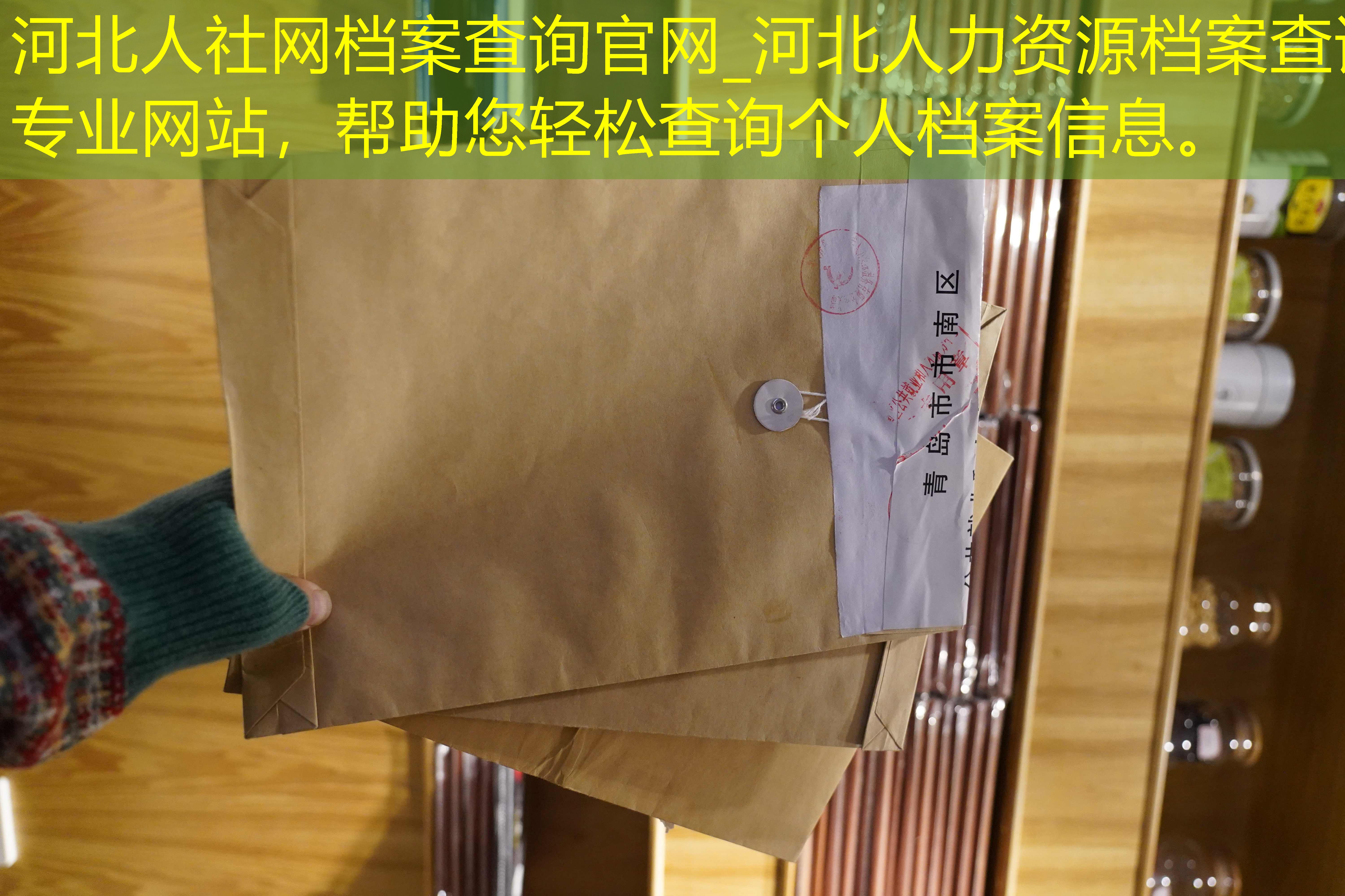 档案查询