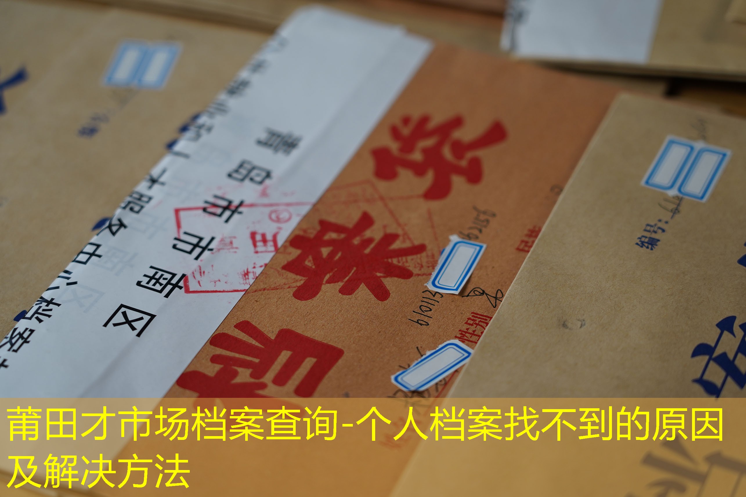 档案查询