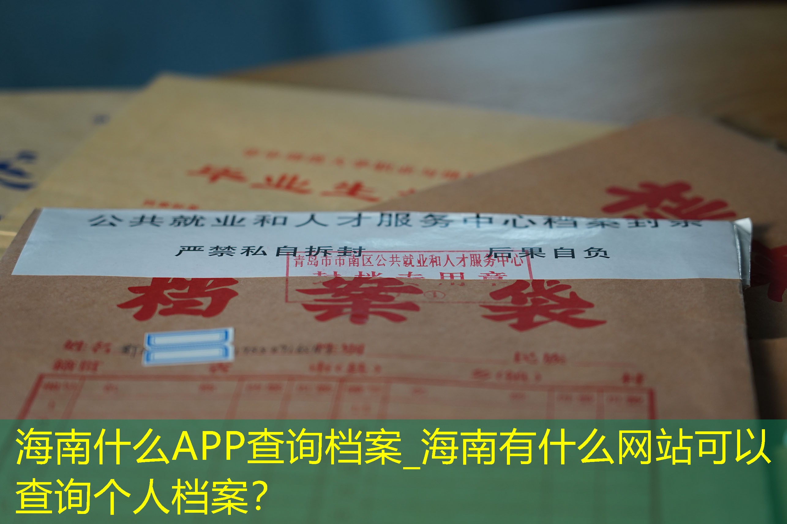 档案查询