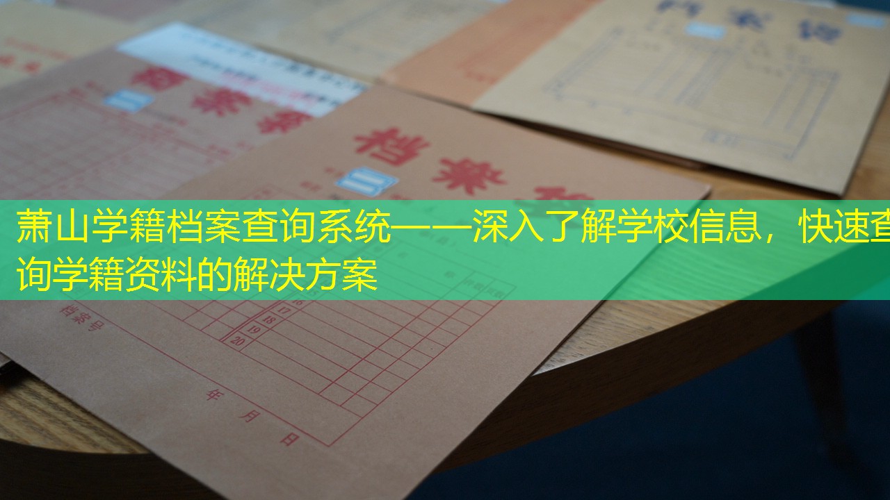 档案查询