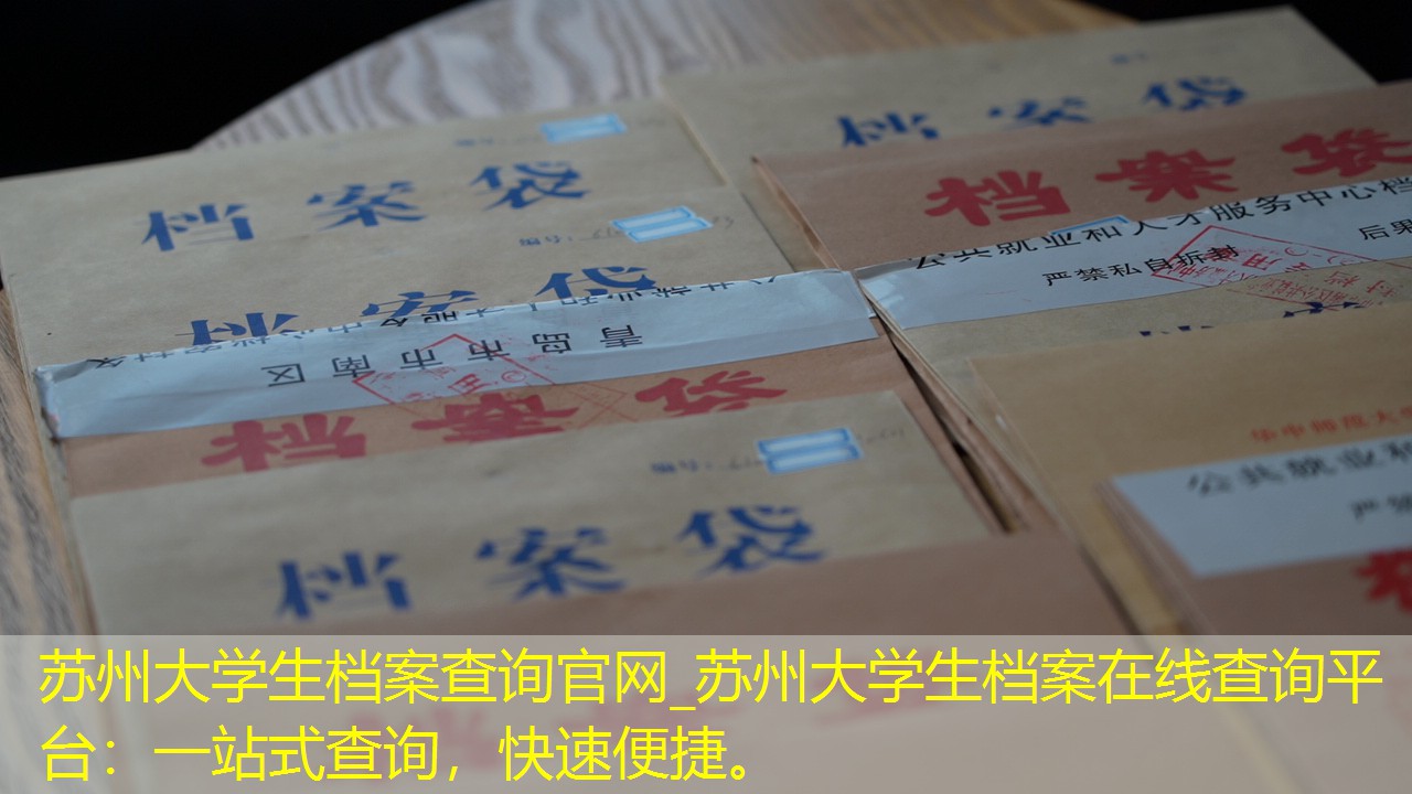 档案查询