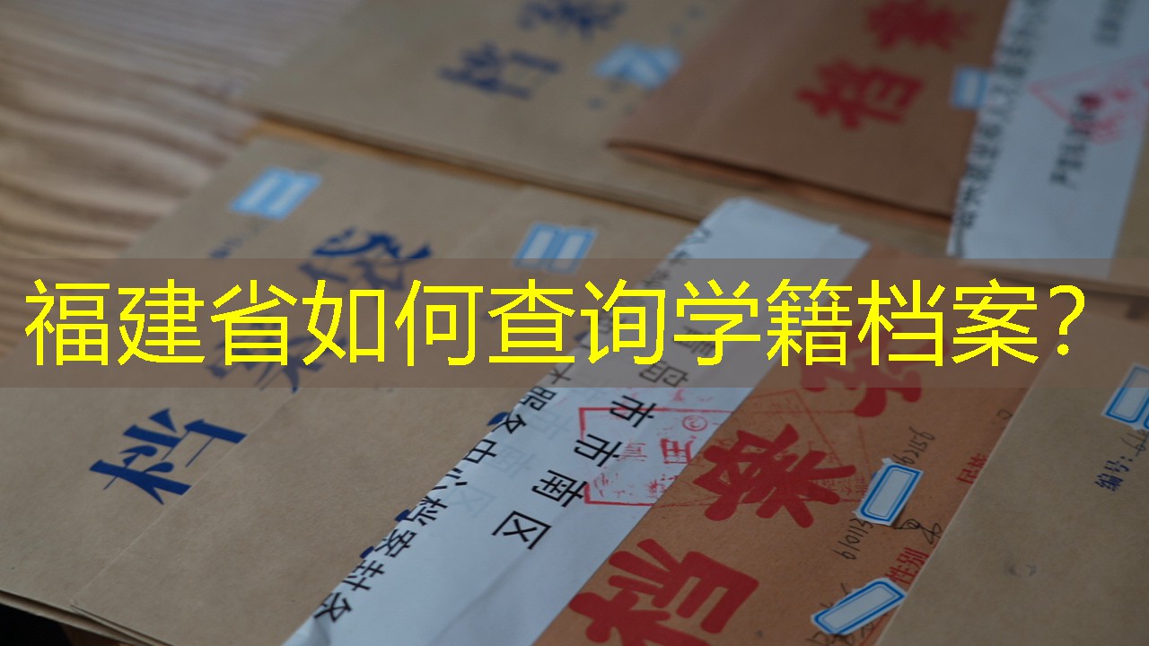档案查询