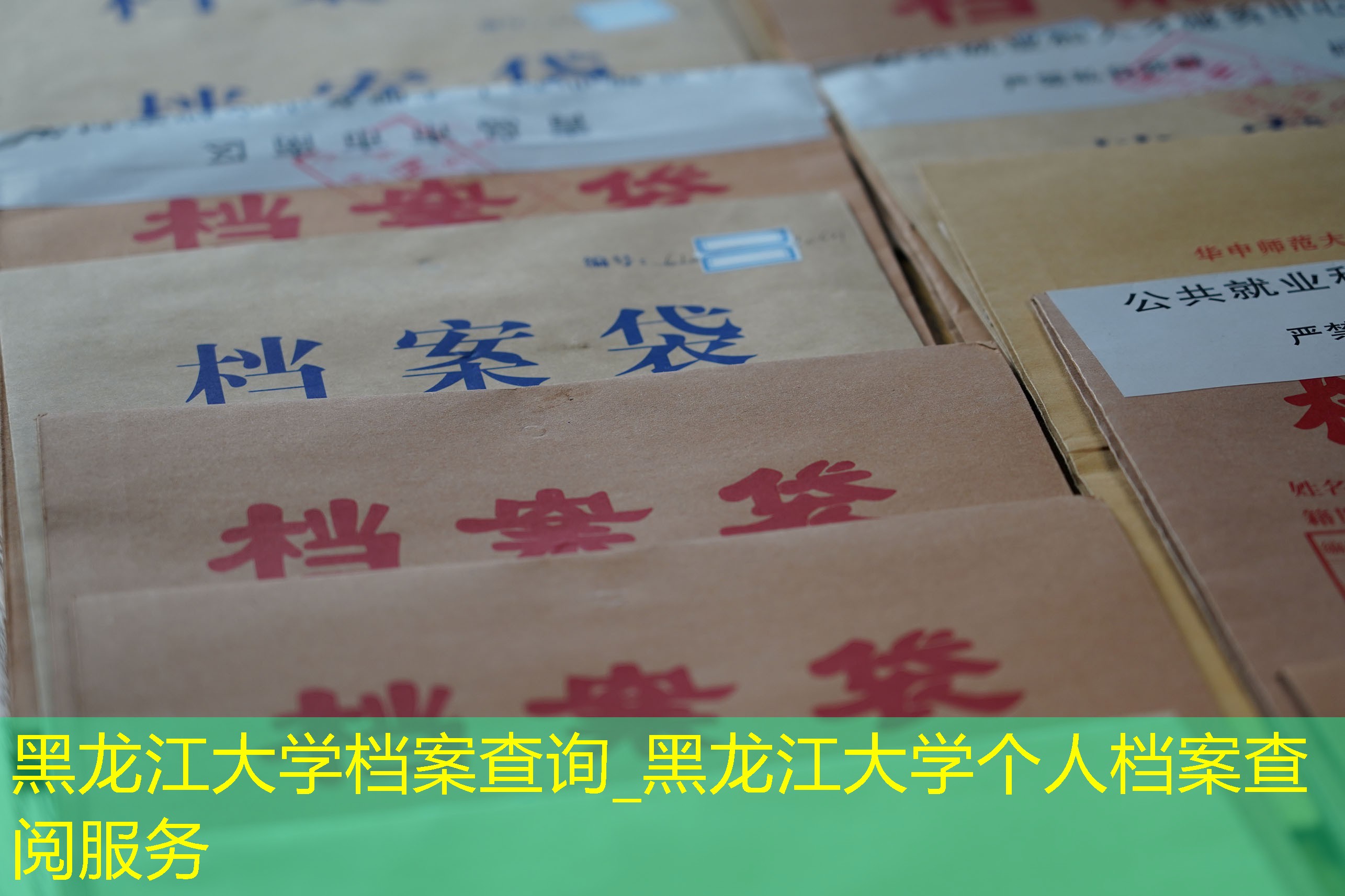 档案查询