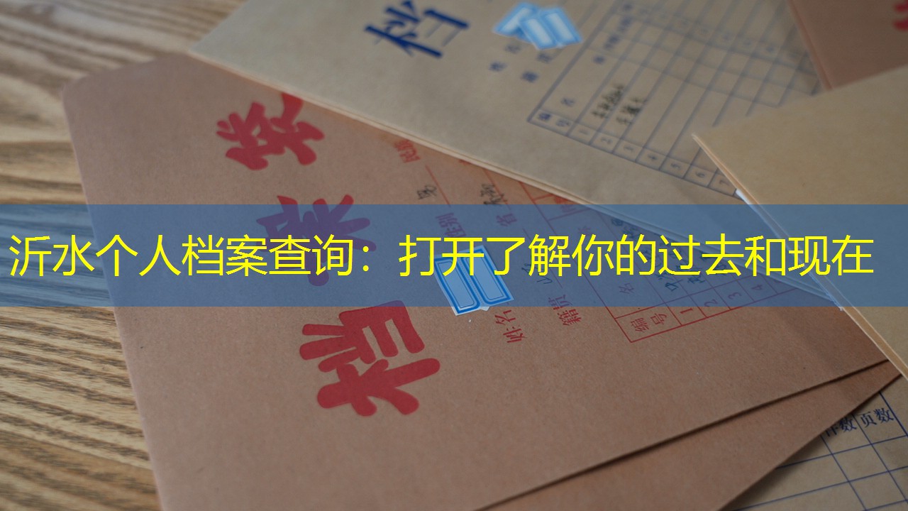 档案查询