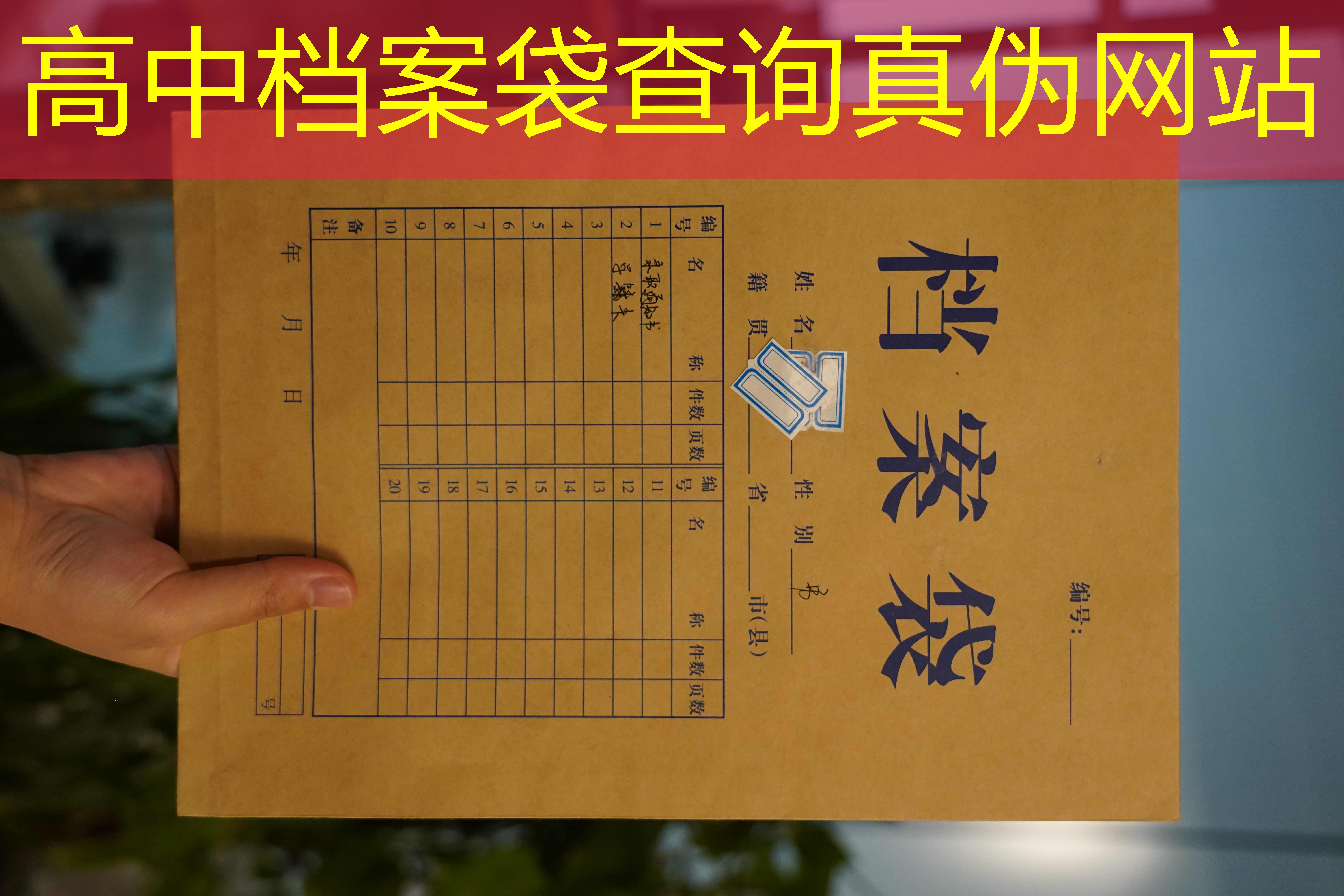 档案查询