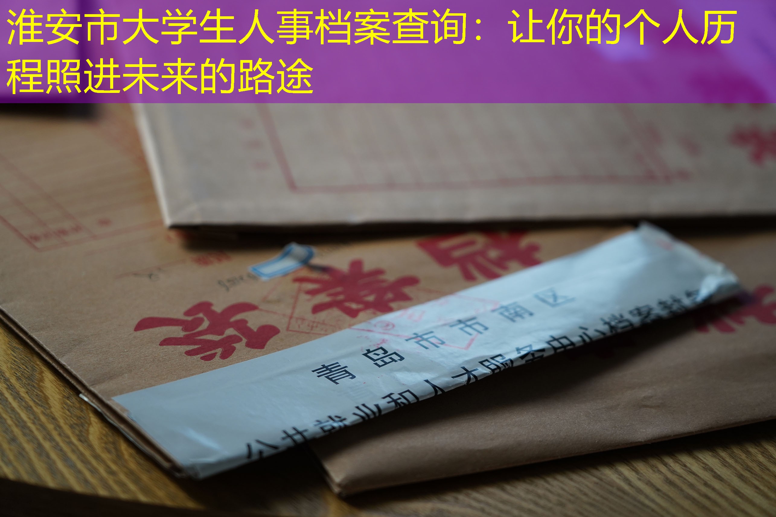 档案查询