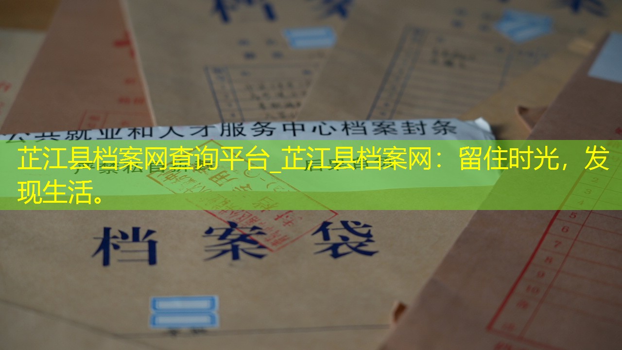 档案查询
