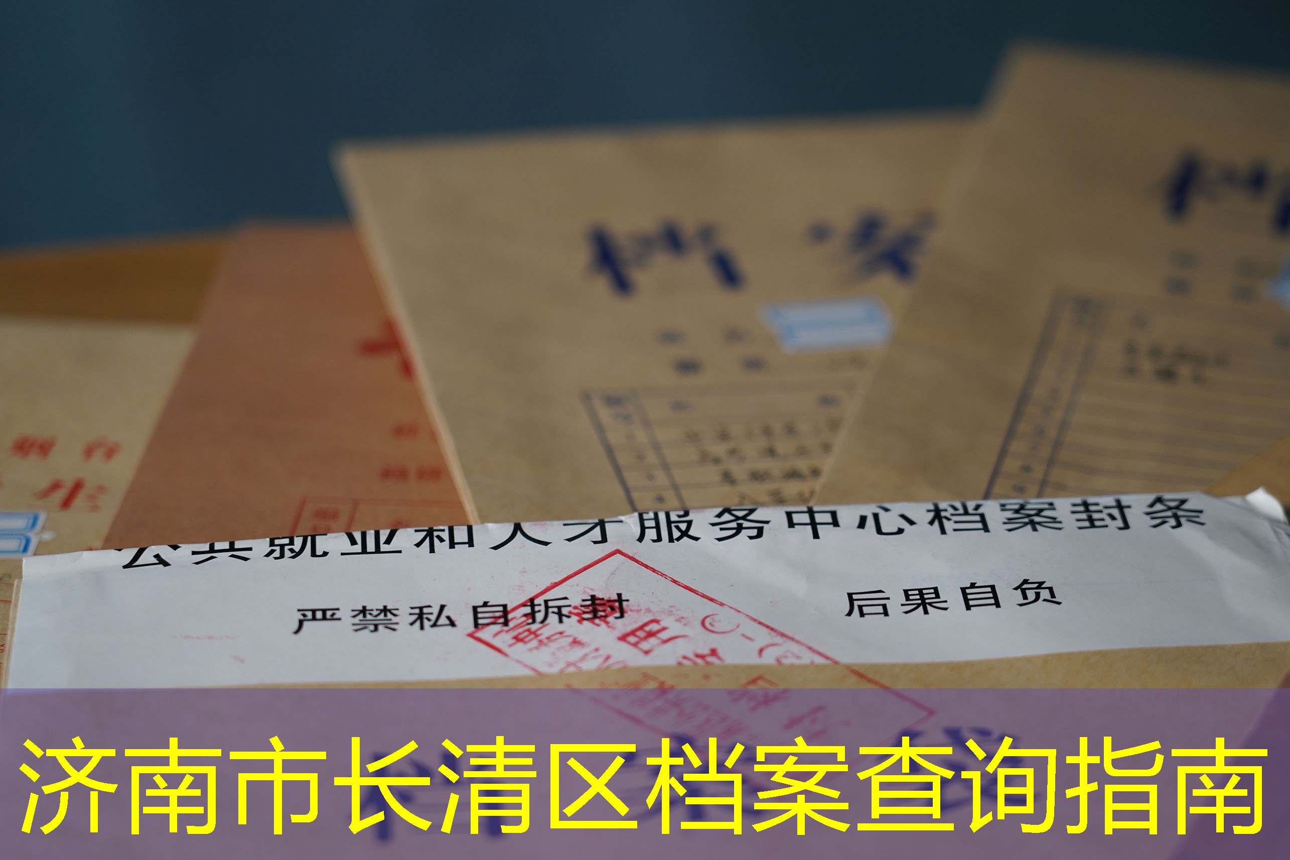档案查询