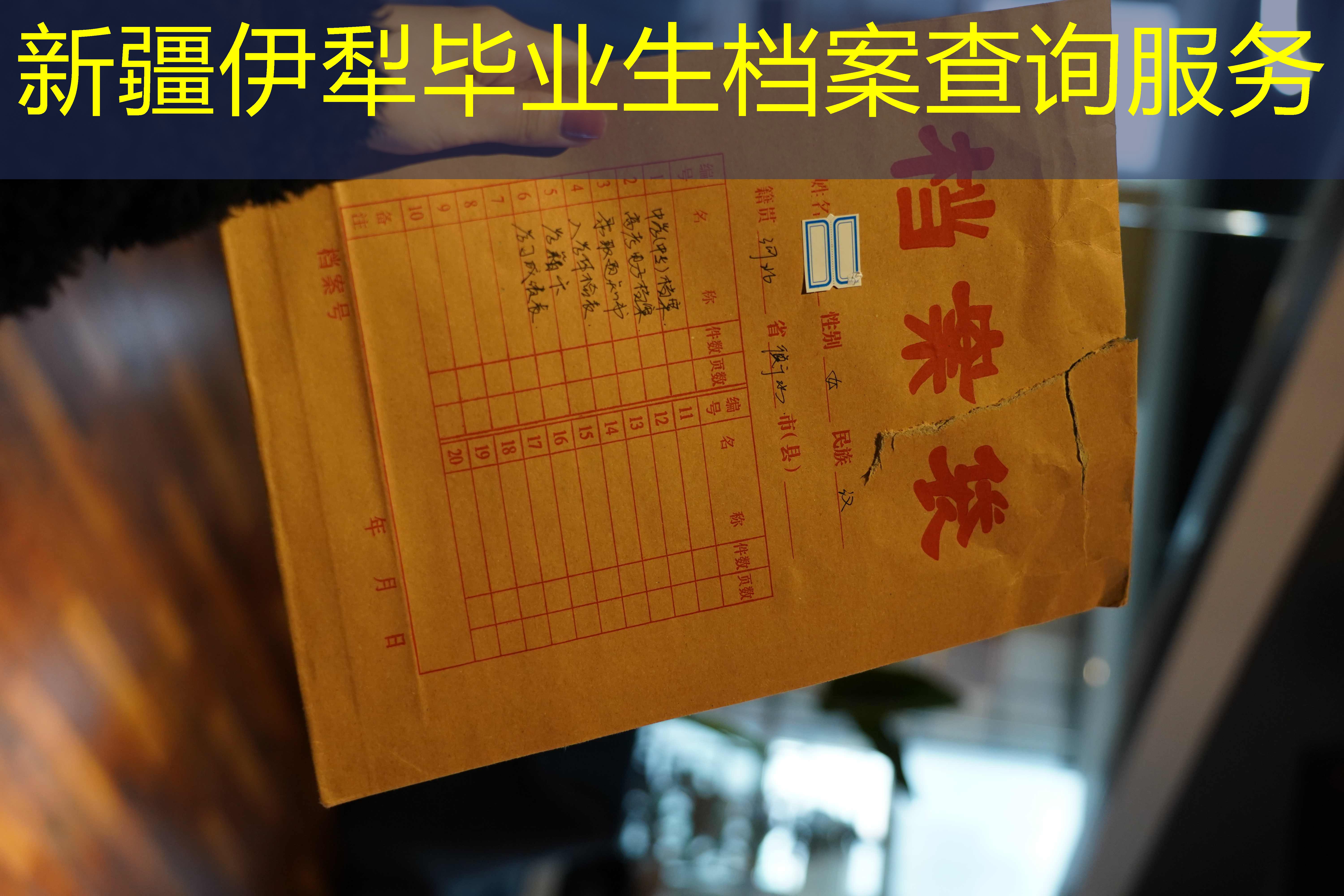 档案查询