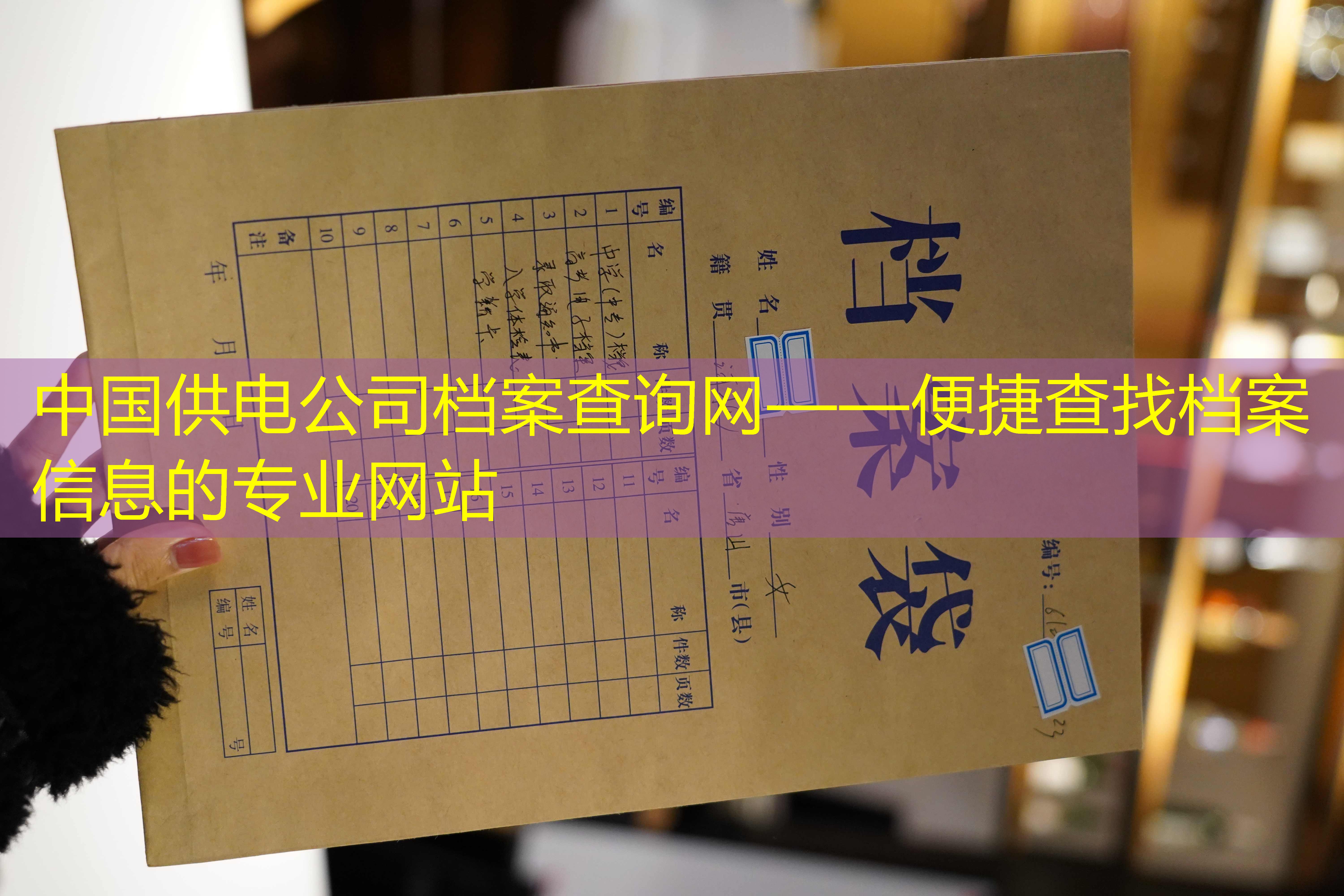 档案查询