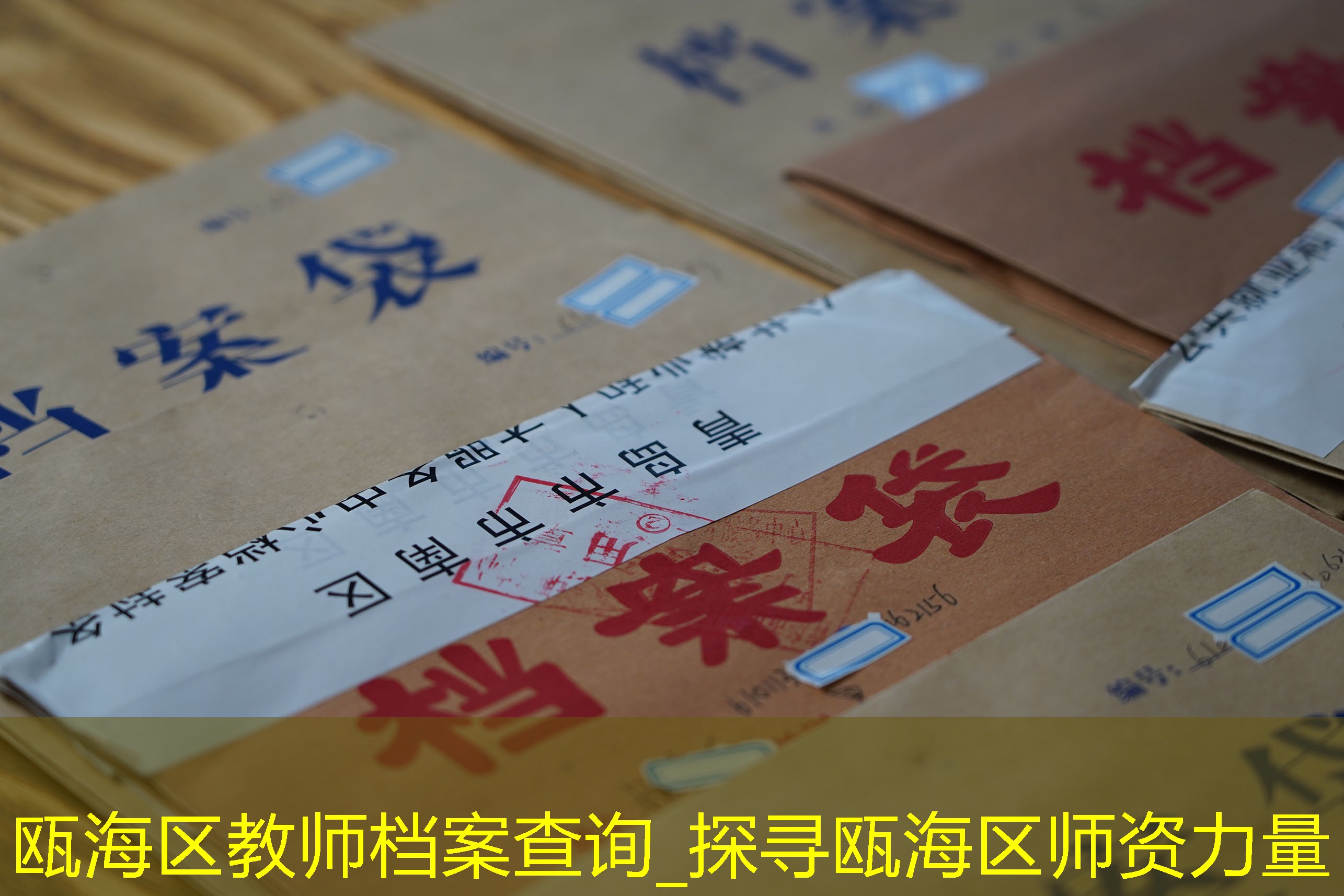档案查询