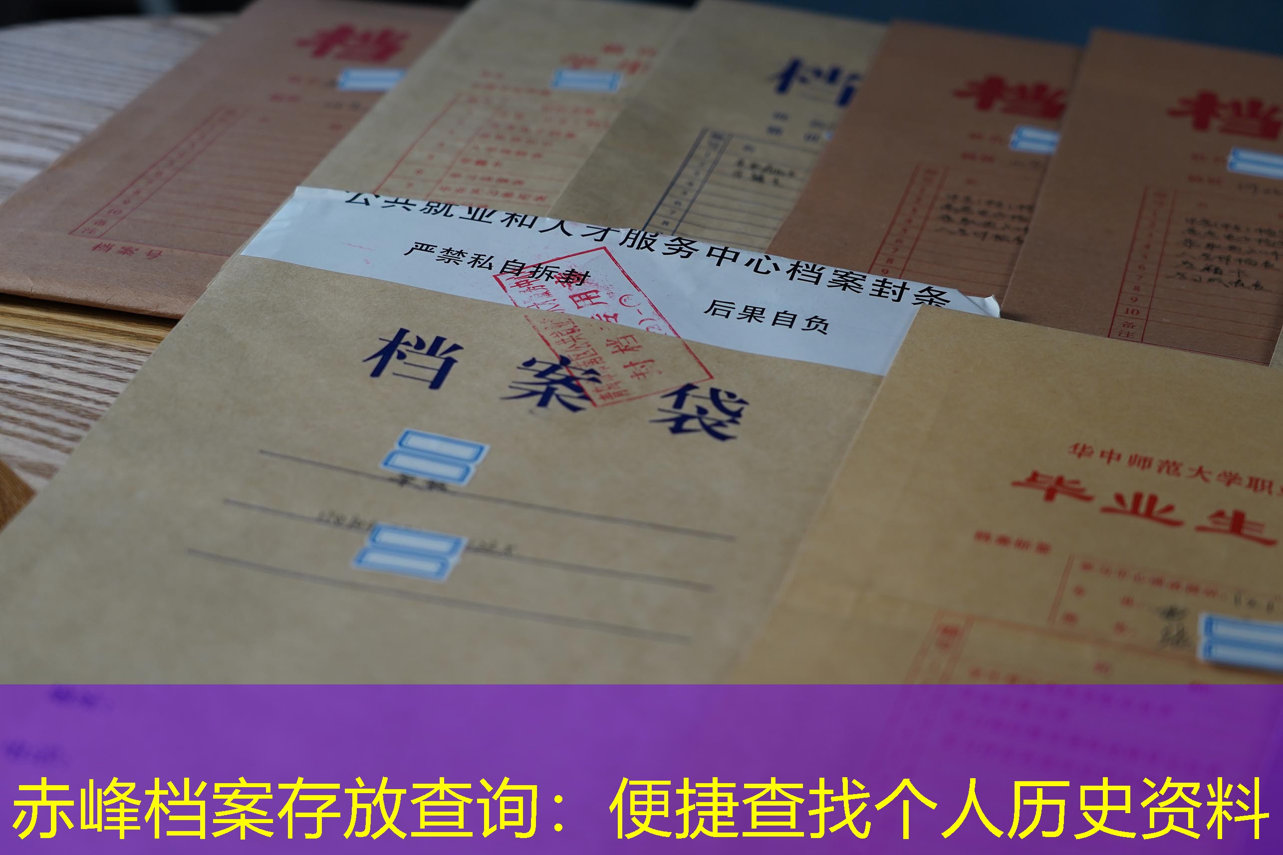 档案查询