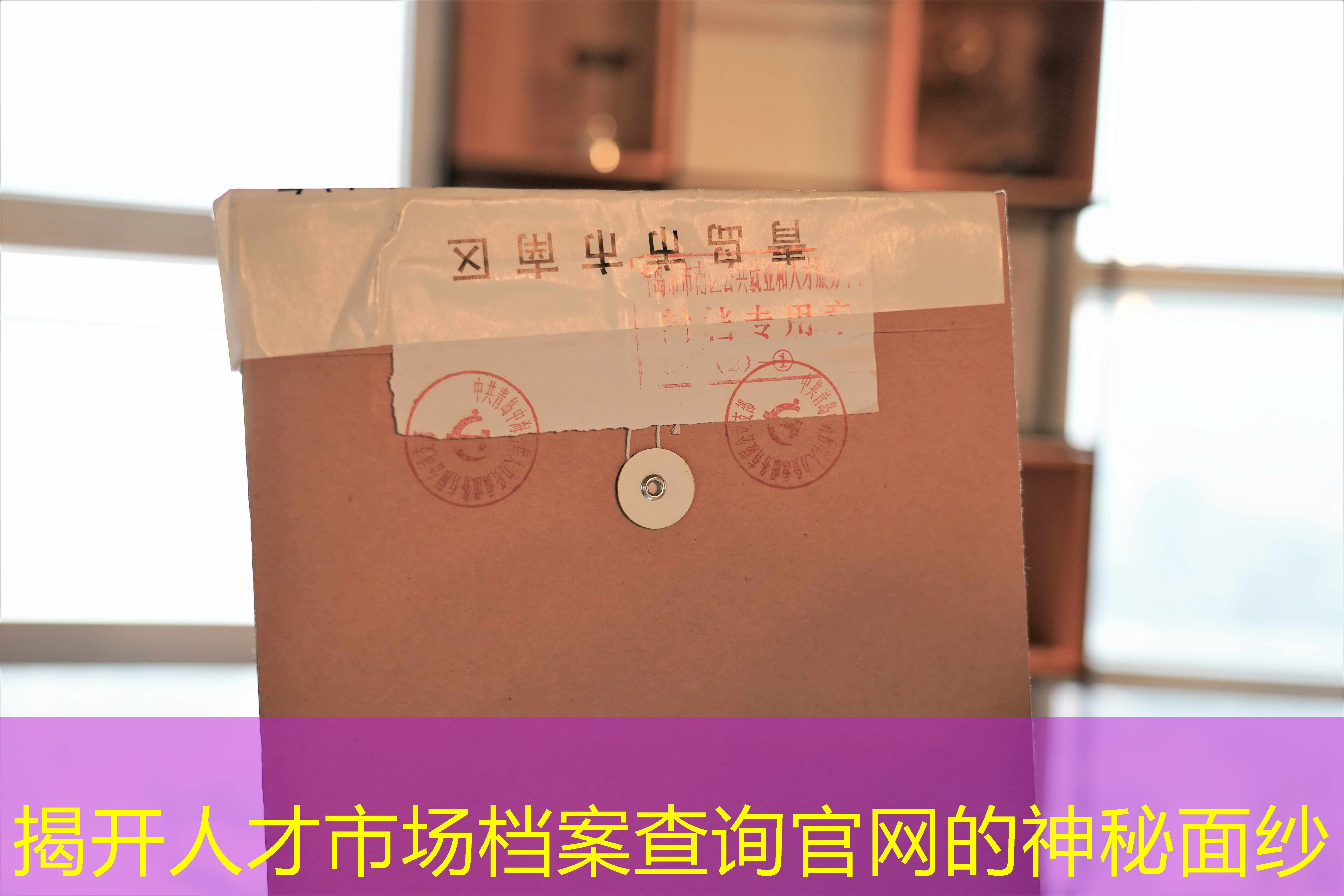 档案查询